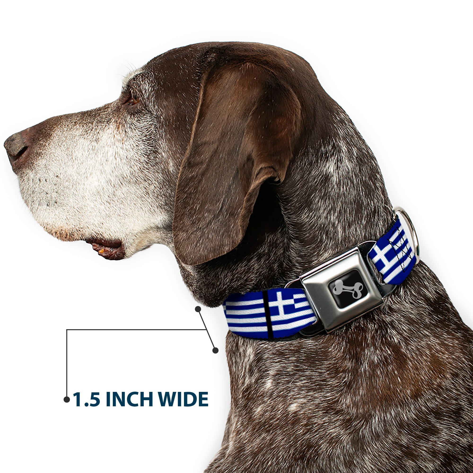 Dog Bone Seatbelt Buckle Collar - Greece Flags