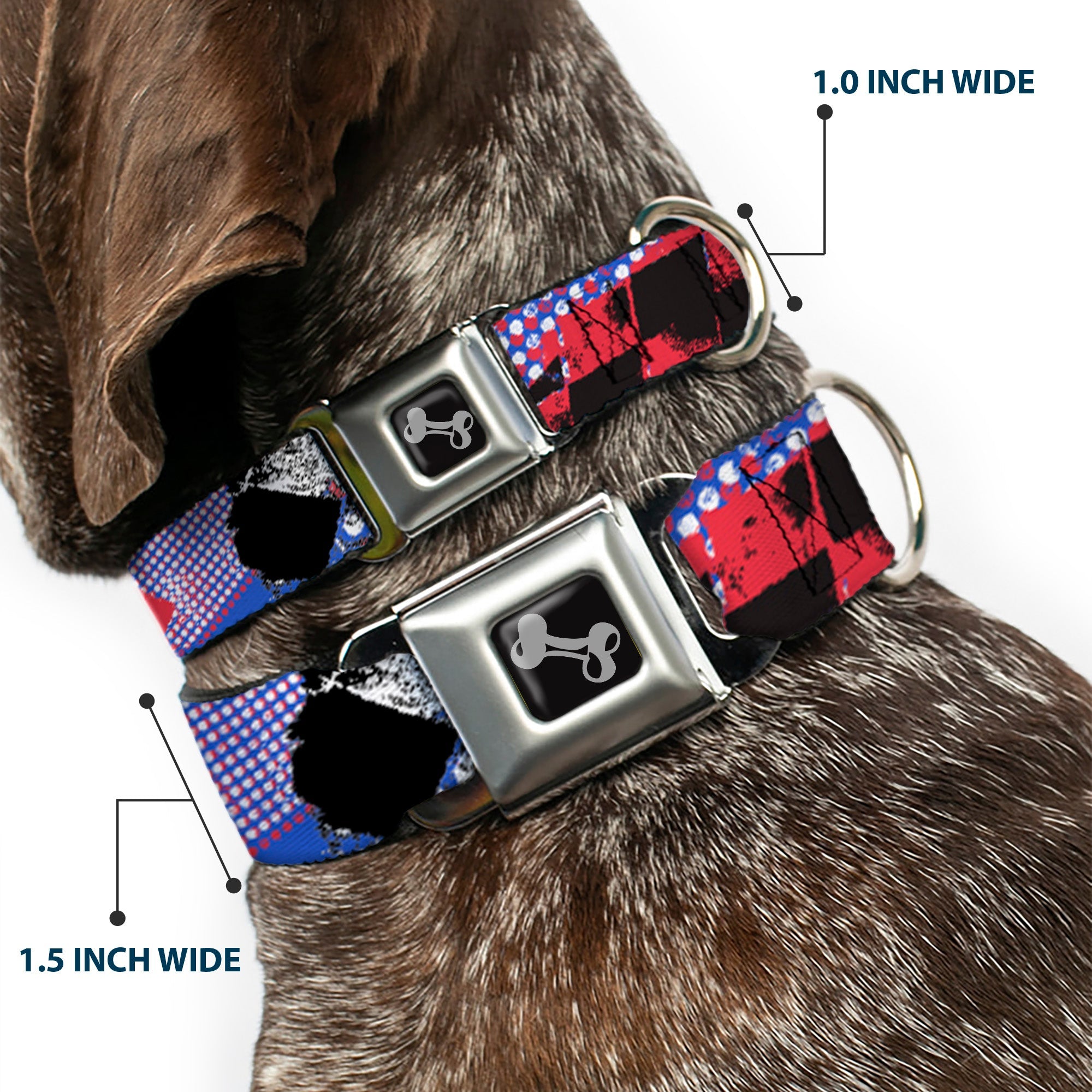 Dog Bone Seatbelt Buckle Collar - Grunge Checker Flag Blue/Red