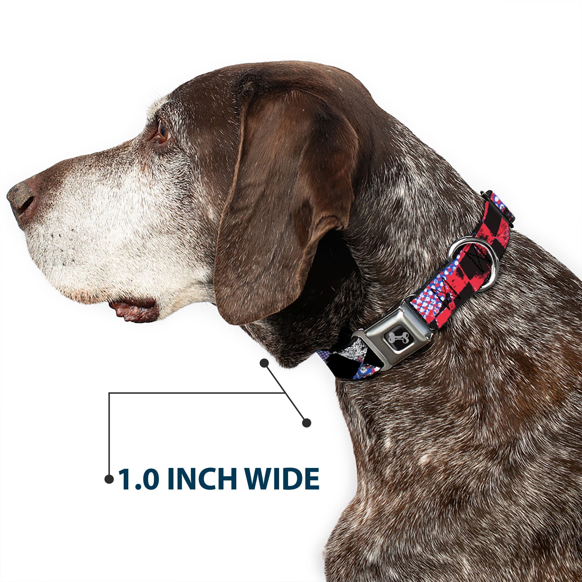 Dog Bone Seatbelt Buckle Collar - Grunge Checker Flag Blue/Red