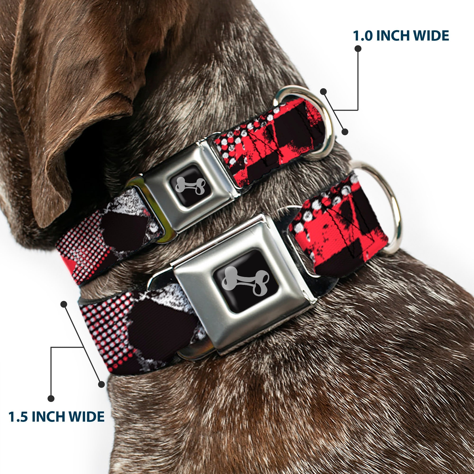 Dog Bone Seatbelt Buckle Collar - Grunge Checker Flag Red