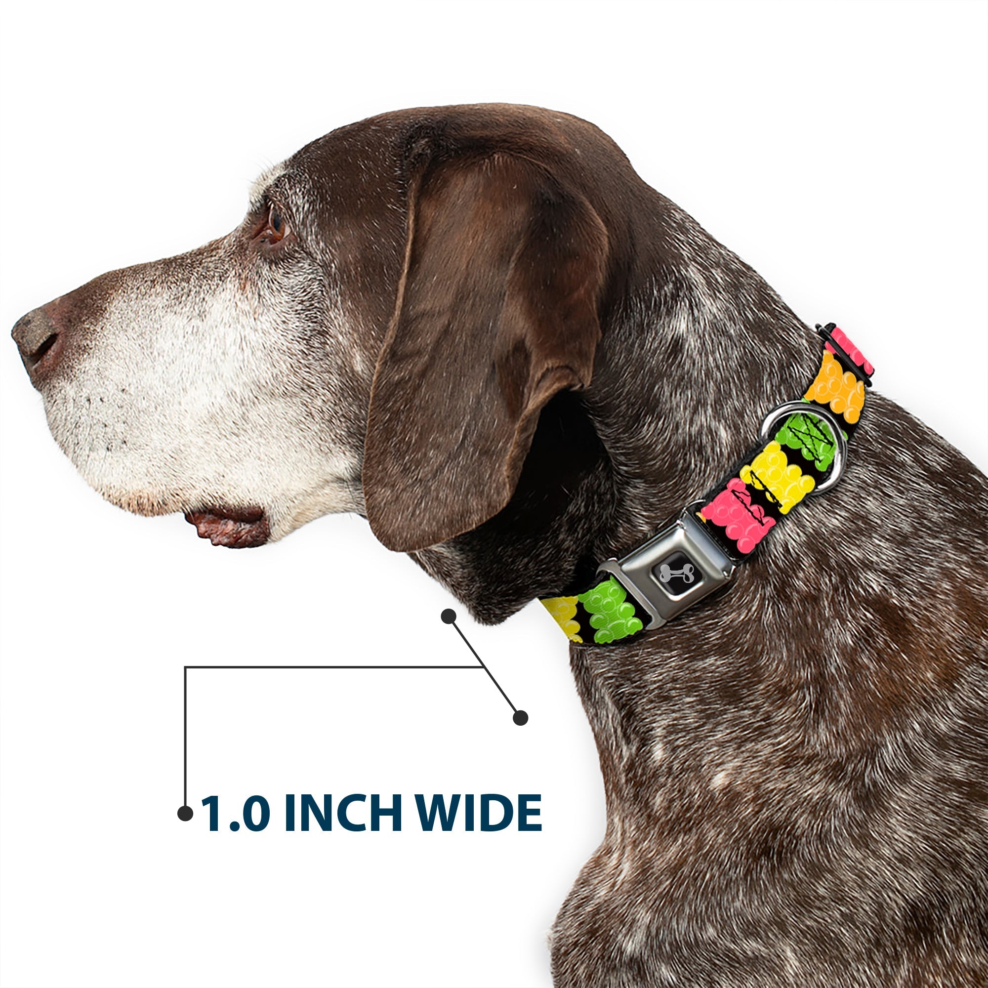 Dog Bone Seatbelt Buckle Collar - Gummy Bears Cartoon Black/Red/Yellow/Green