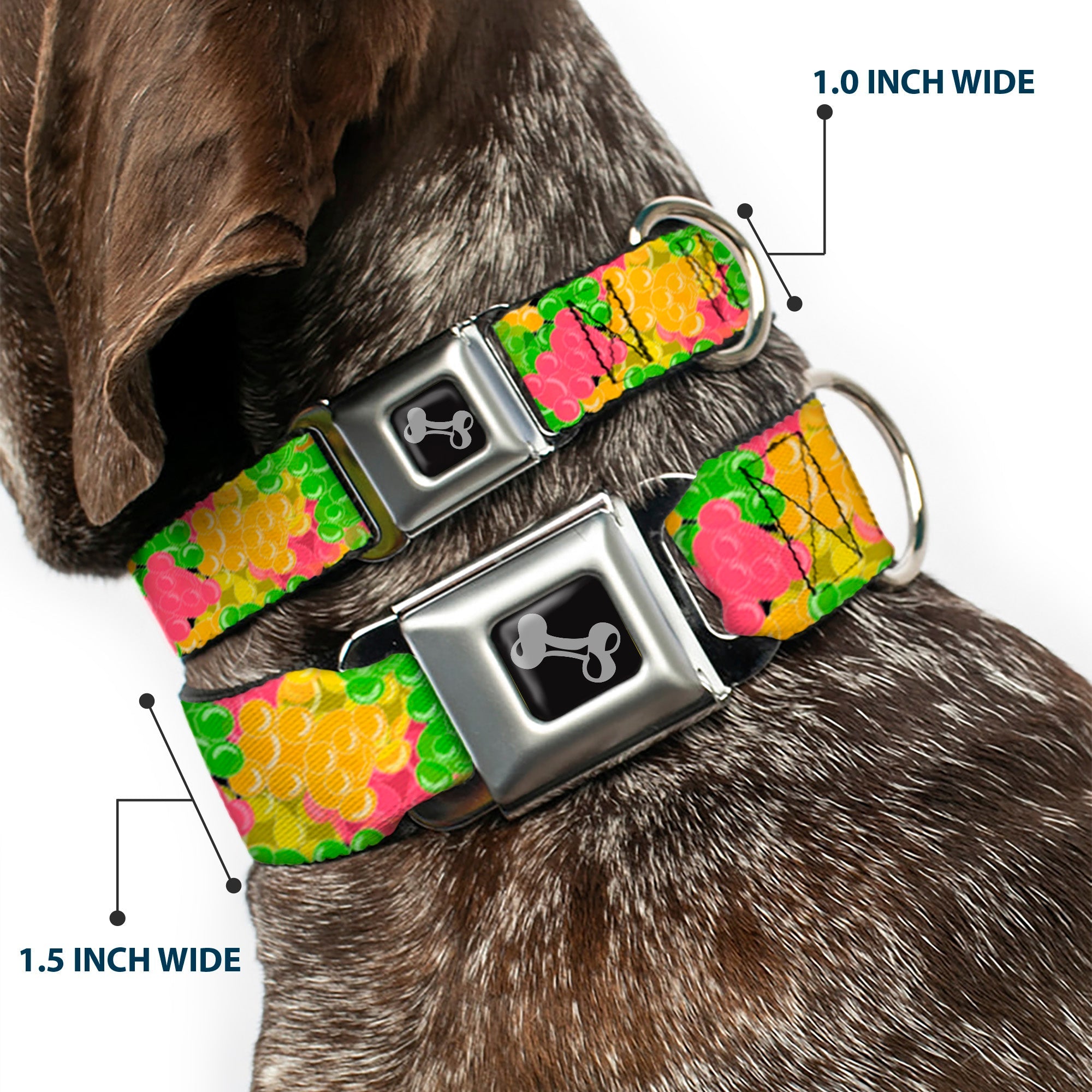 Dog Bone Seatbelt Buckle Collar - Gummy Bears Stacked Multi Color