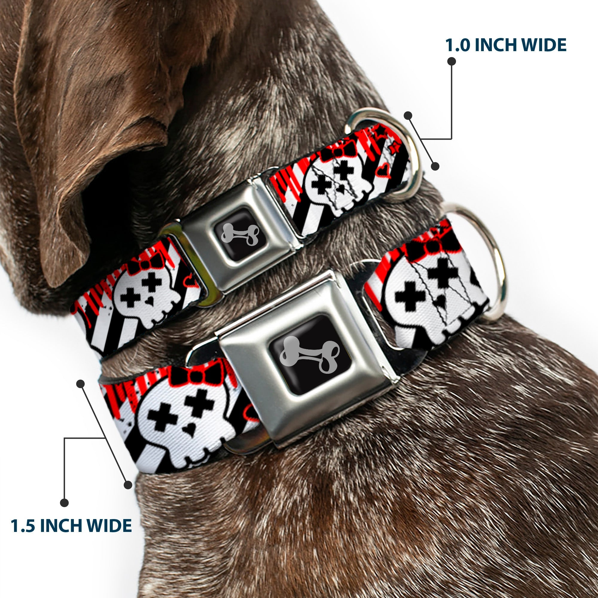 Dog Bone Seatbelt Buckle Collar - Girlie Skull Black/White w/Red Paint Drips