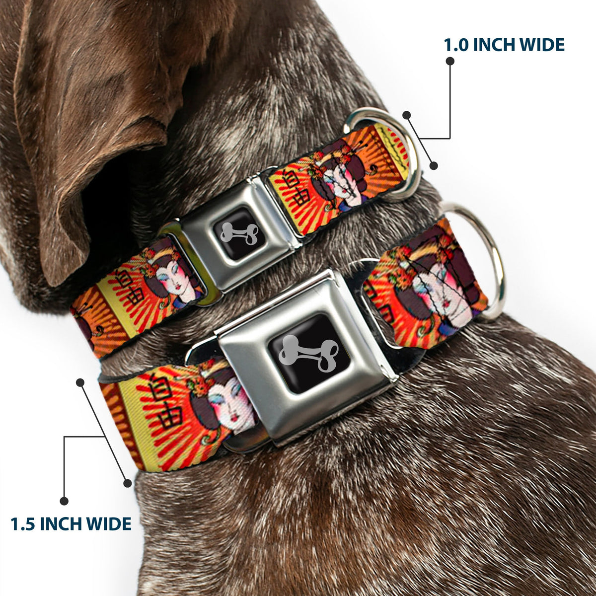 Dog Bone Seatbelt Buckle Collar - Geisha Distressed Repeat