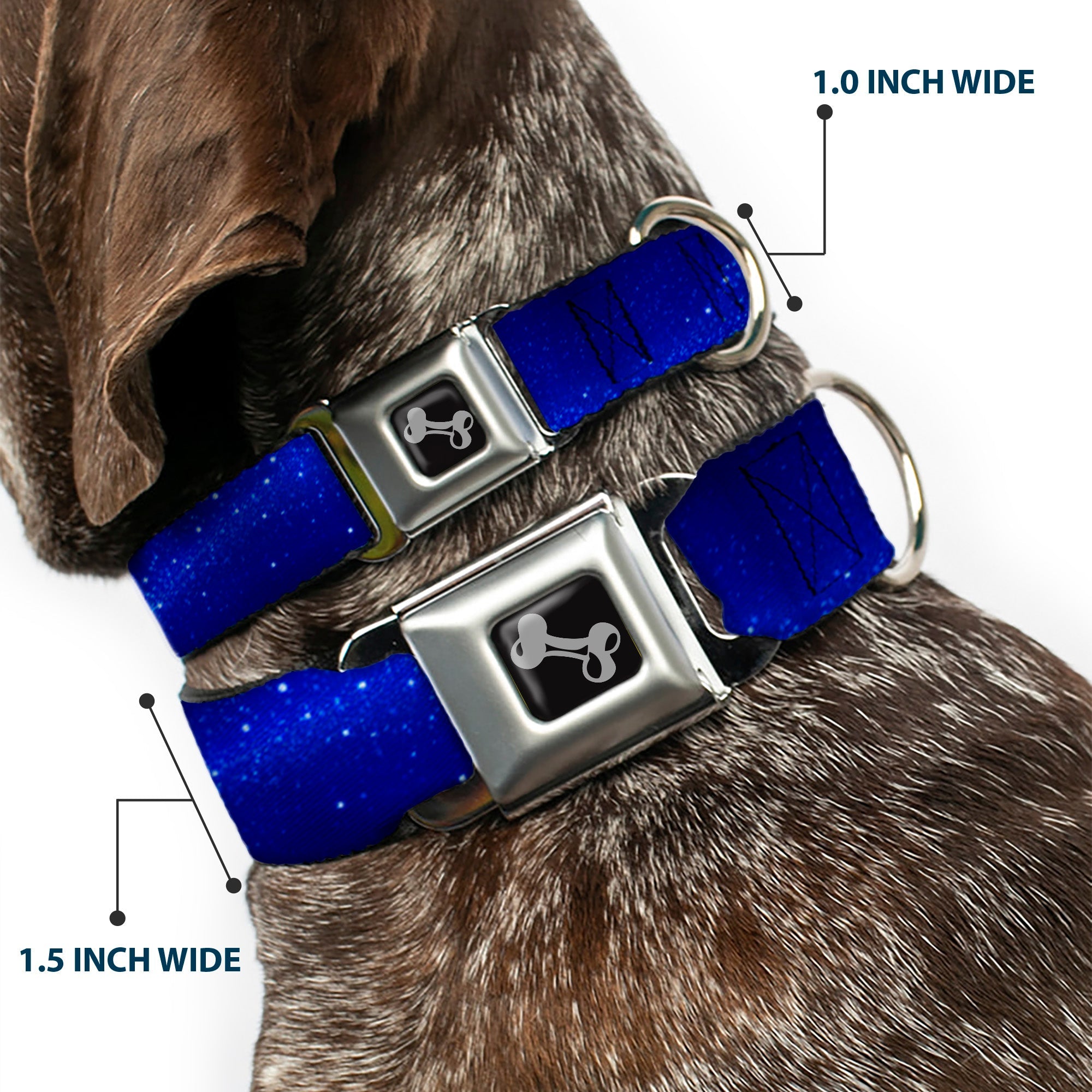 Dog Bone Seatbelt Buckle Collar - Galaxy Arch Blues/White
