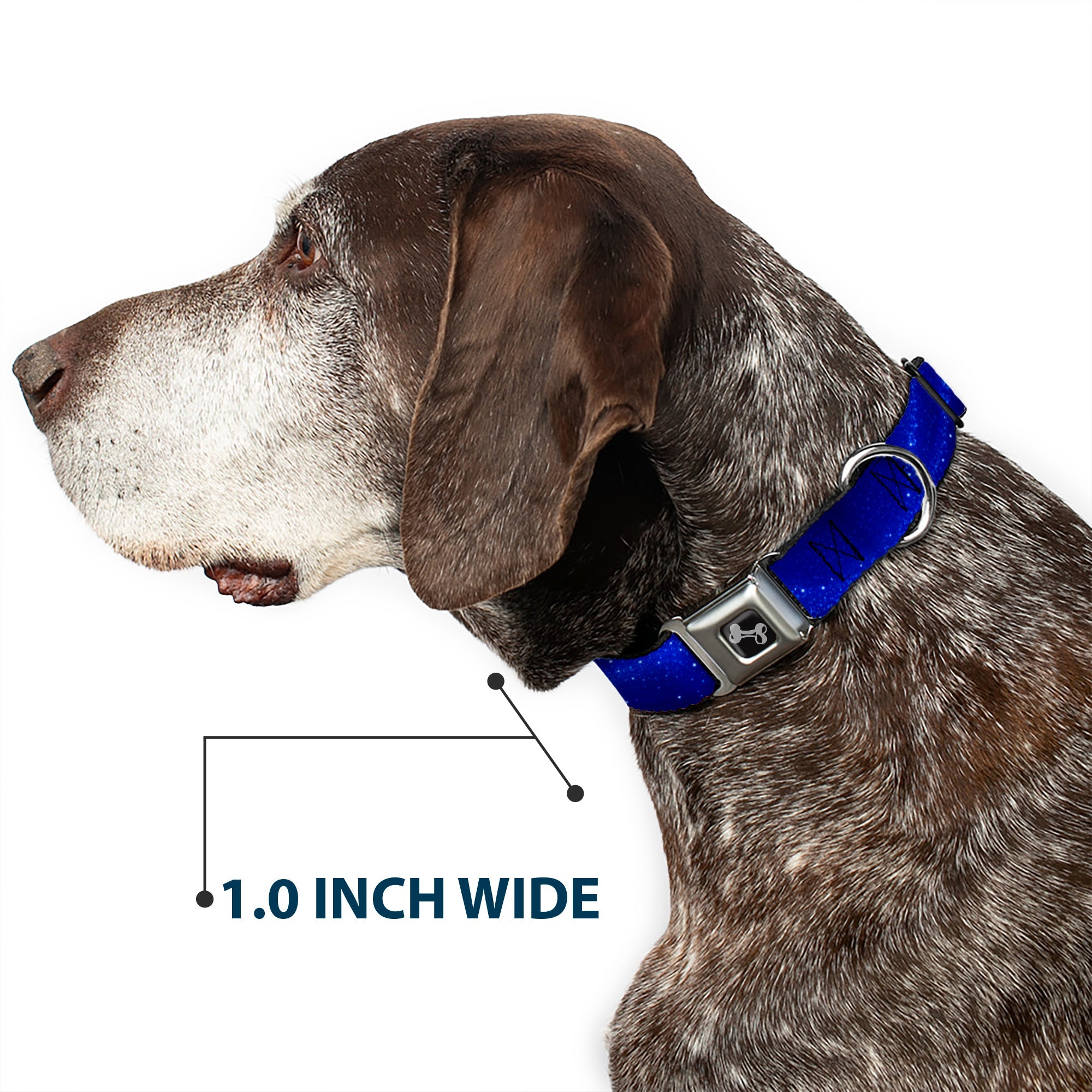 Dog Bone Seatbelt Buckle Collar - Galaxy Arch Blues/White