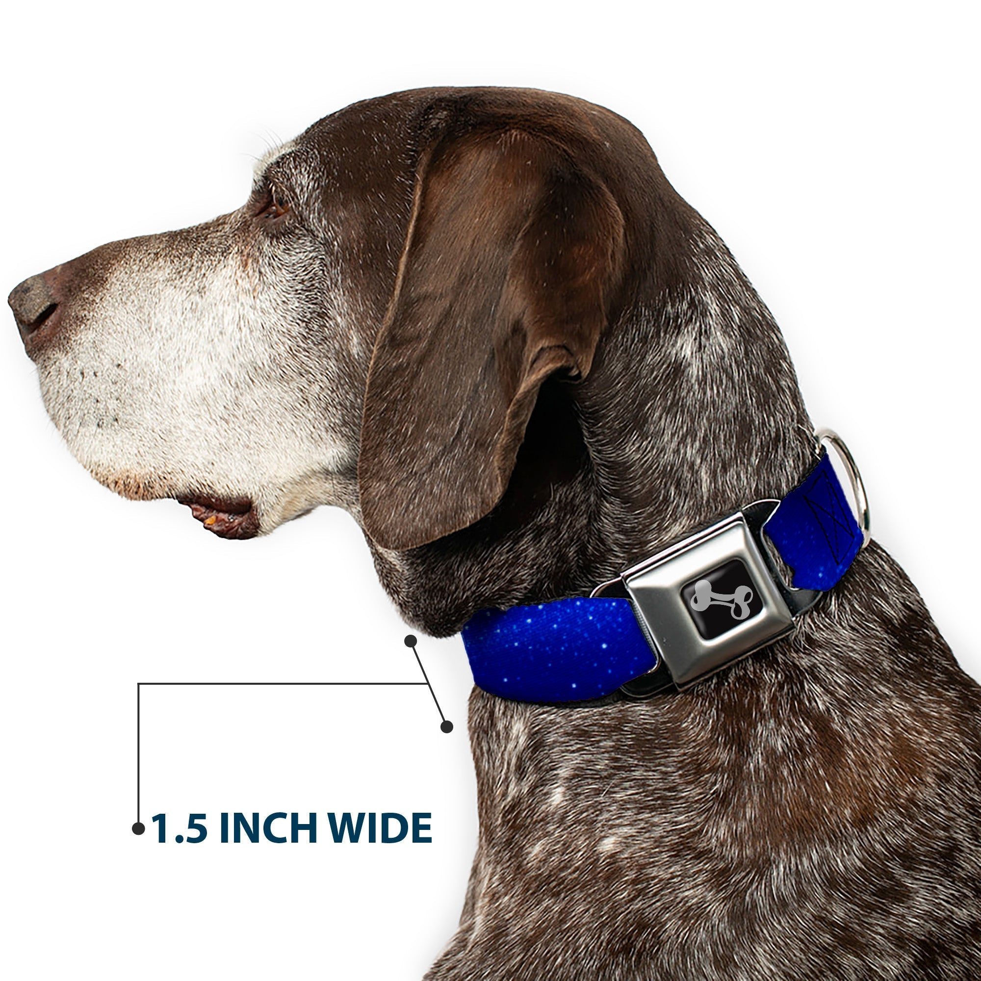 Dog Bone Seatbelt Buckle Collar - Galaxy Arch Blues/White
