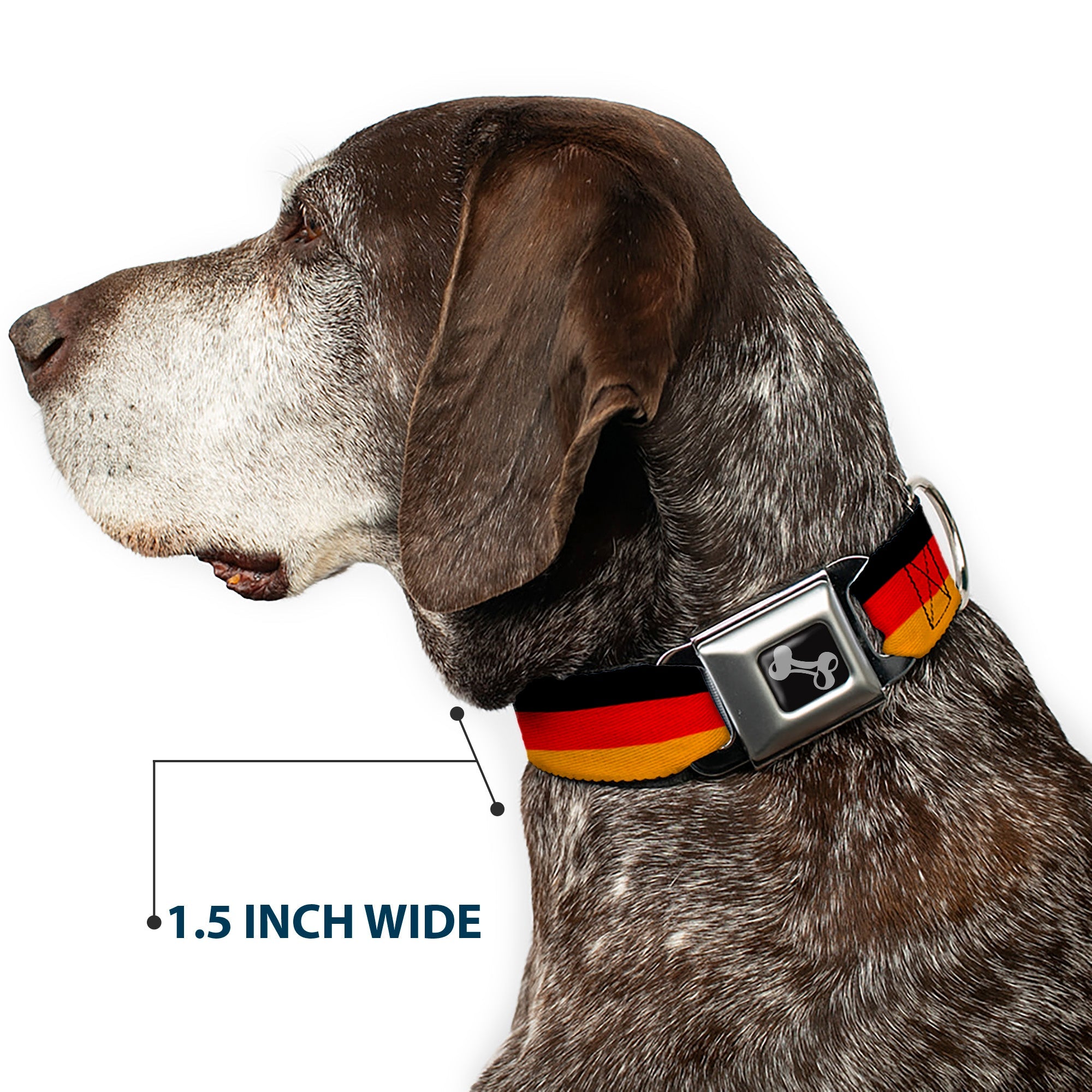 Dog Bone Seatbelt Buckle Collar - Germany Flag Weathered