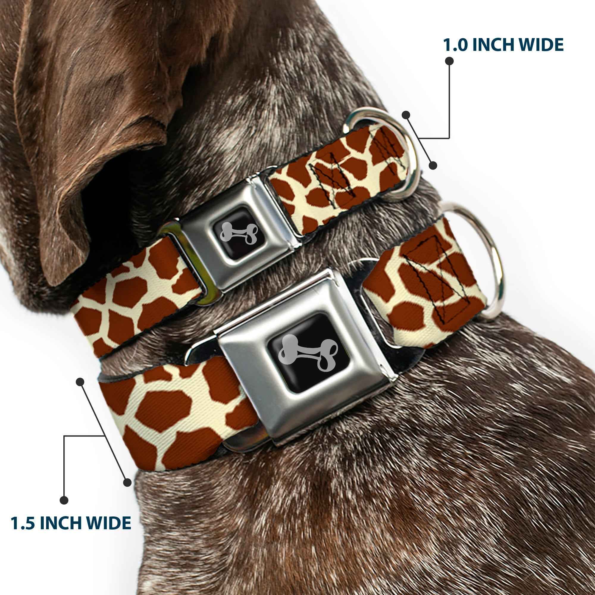 Buckle-Down Giraffe Spots2 Cream/Brown Seatbelt Buckle Dog Collar