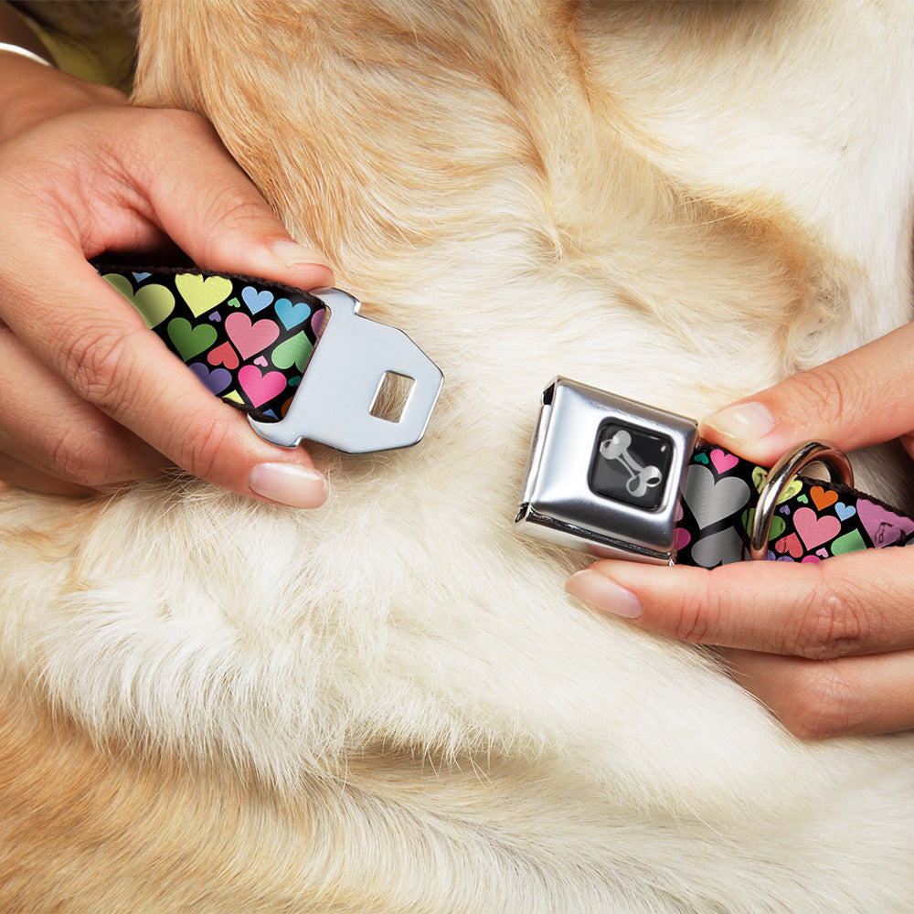 Dog Bone Seatbelt Buckle Collar - Hearts Black/Multi Color