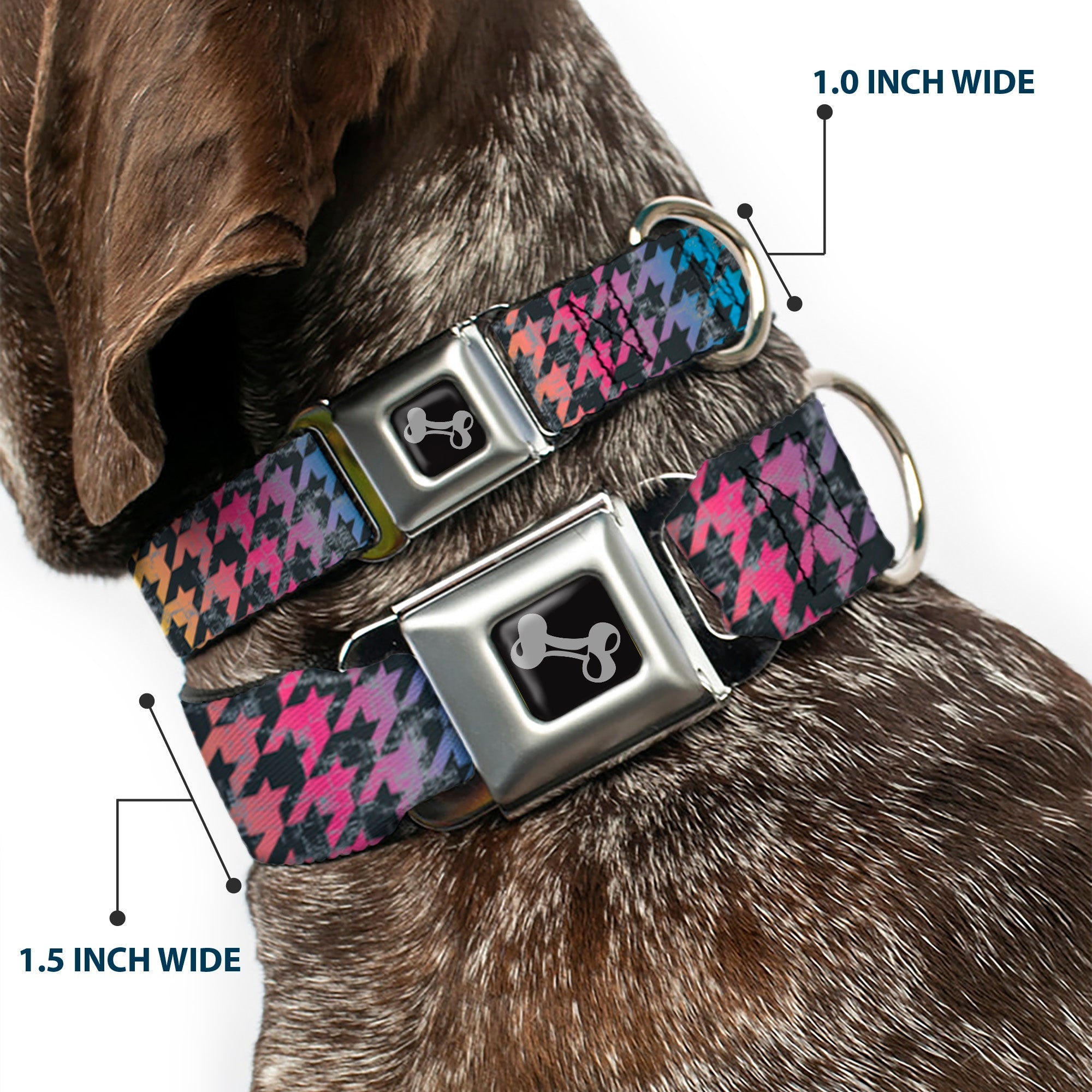 Dog Bone Seatbelt Buckle Collar - Houndstooth Black/Rainbow