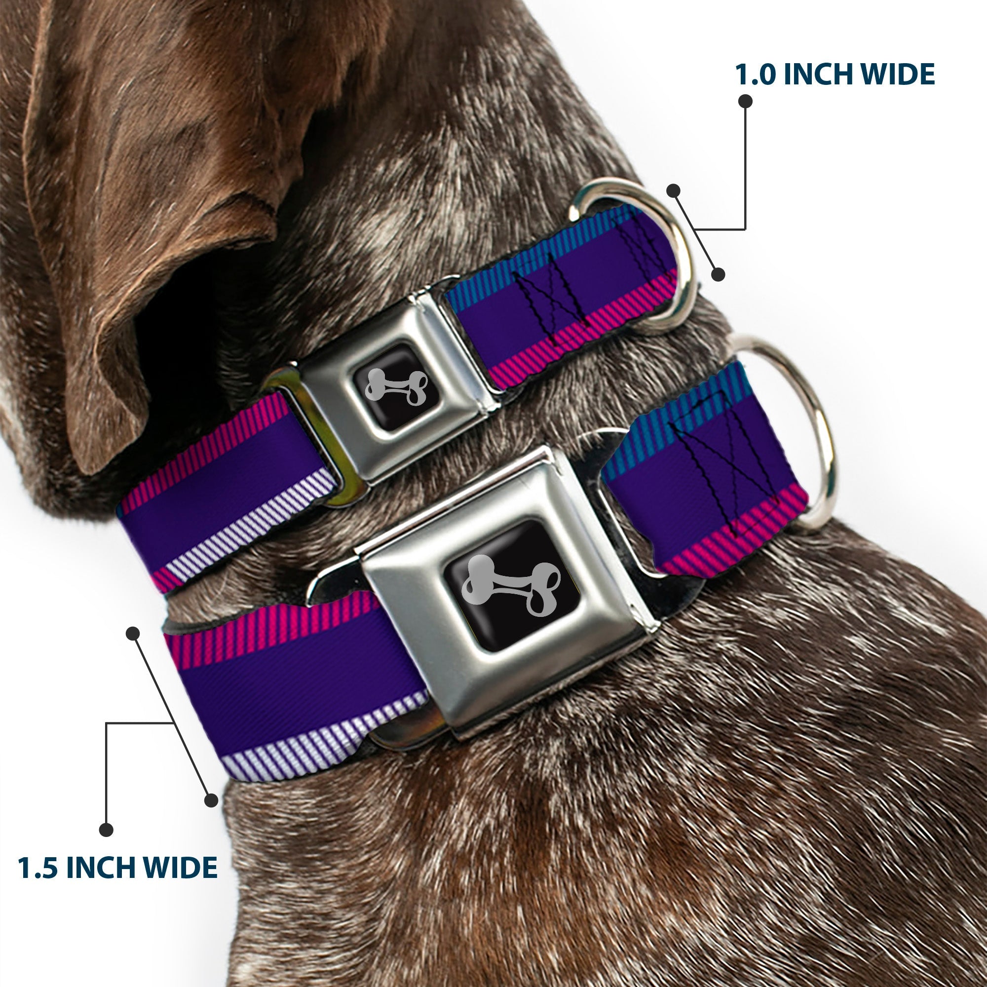 Dog Bone Seatbelt Buckle Collar - Hash Mark Stripe Navy/Turquoise/Fuchsia/White