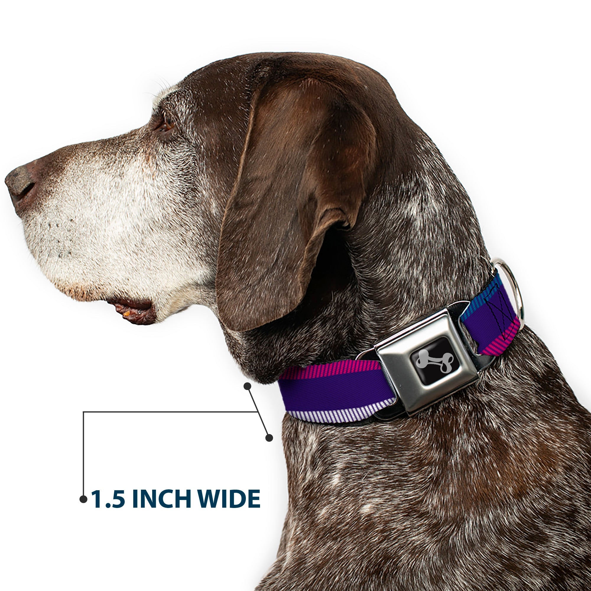 Dog Bone Seatbelt Buckle Collar - Hash Mark Stripe Navy/Turquoise/Fuchsia/White