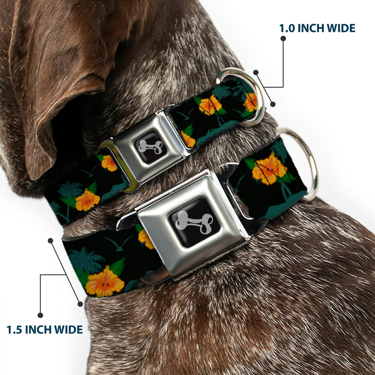 Dog Bone Seatbelt Buckle Collar - Hibiscus Flowers Black/Green/Orange