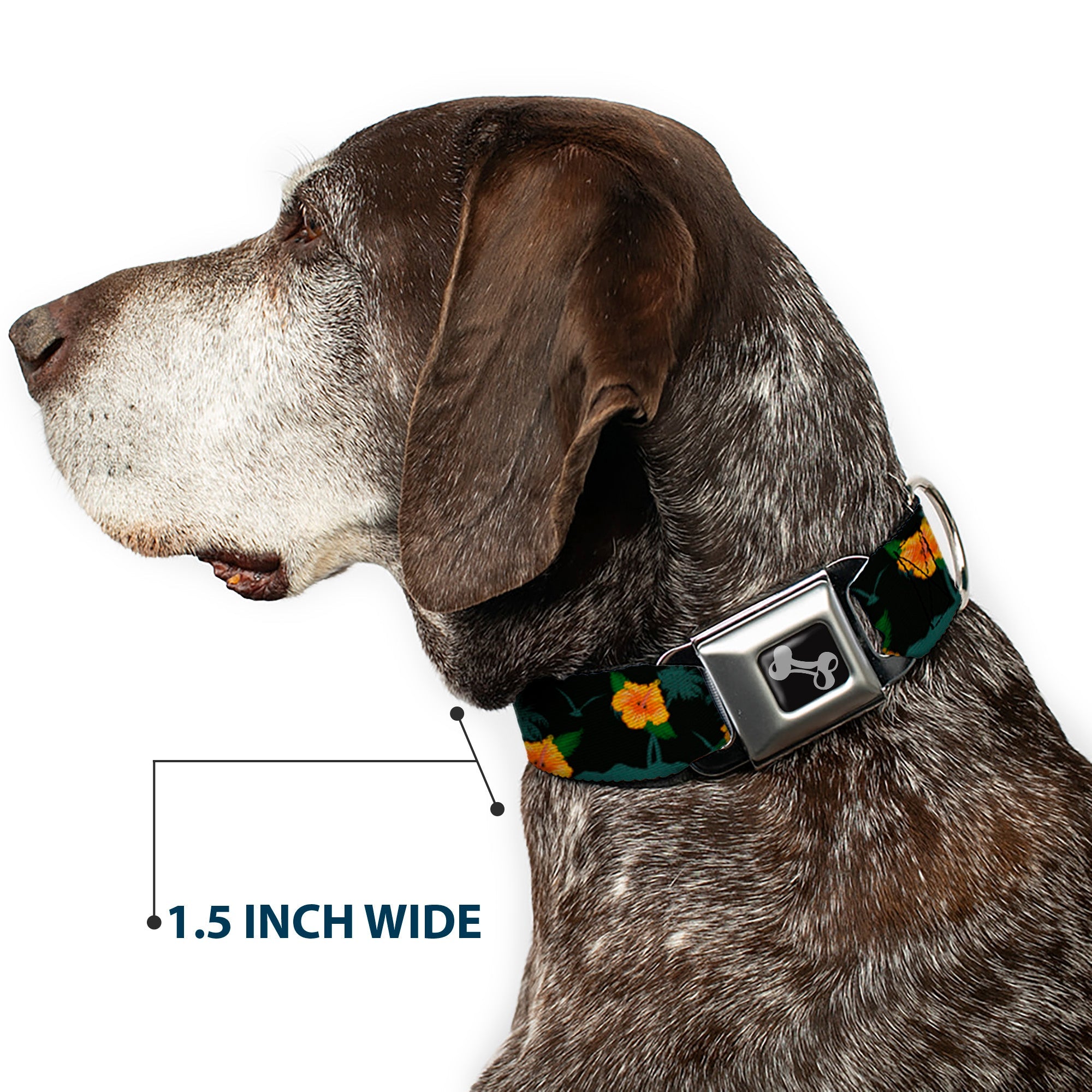 Dog Bone Seatbelt Buckle Collar - Hibiscus Flowers Black/Green/Orange