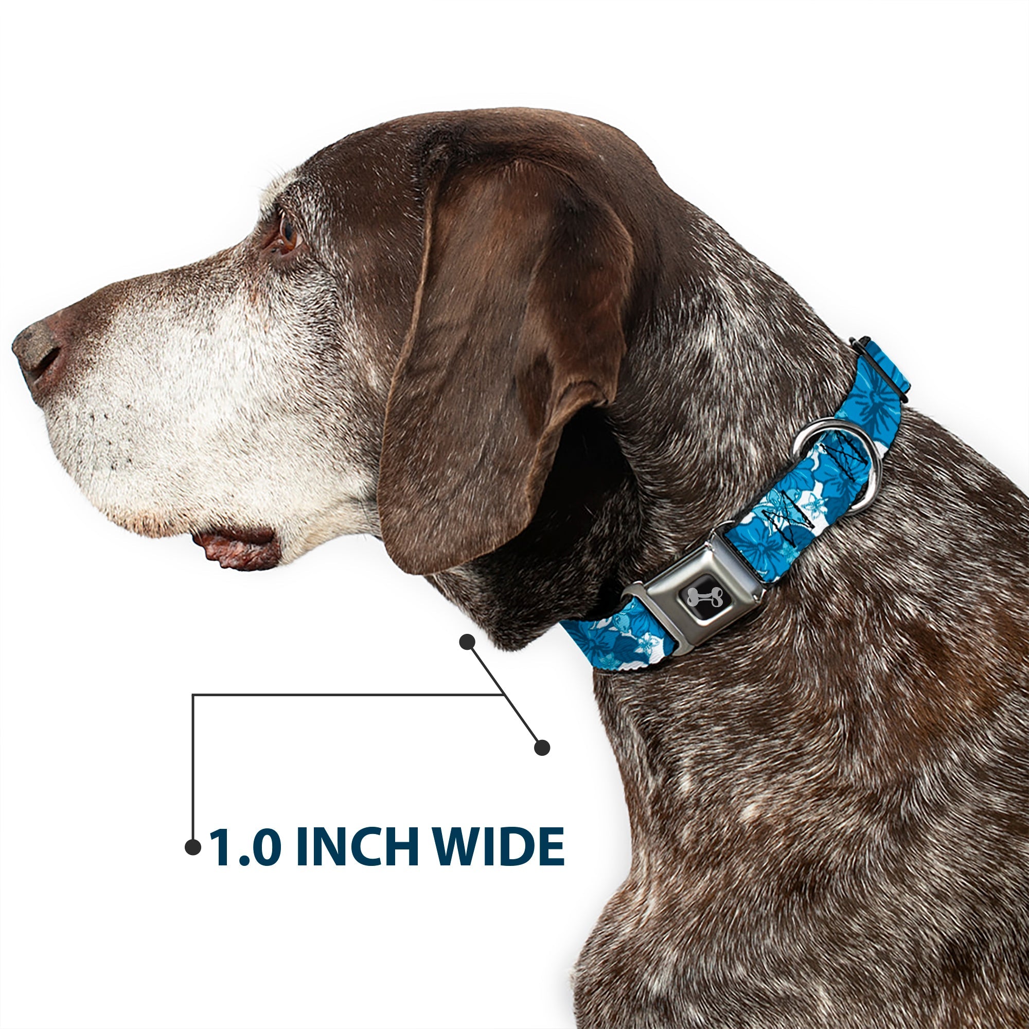 Dog Bone Seatbelt Buckle Collar - Hibiscus Collage White/Blues