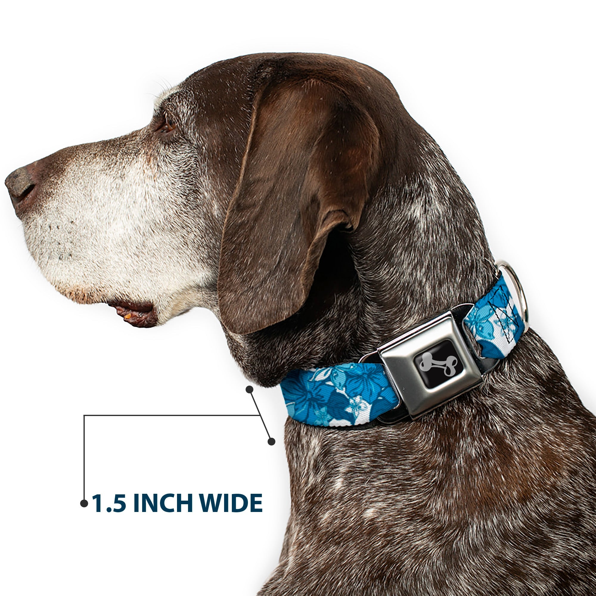 Dog Bone Seatbelt Buckle Collar - Hibiscus Collage White/Blues