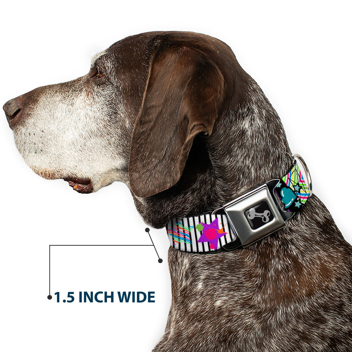 Dog Bone Seatbelt Buckle Collar - Icons & Patterns 2
