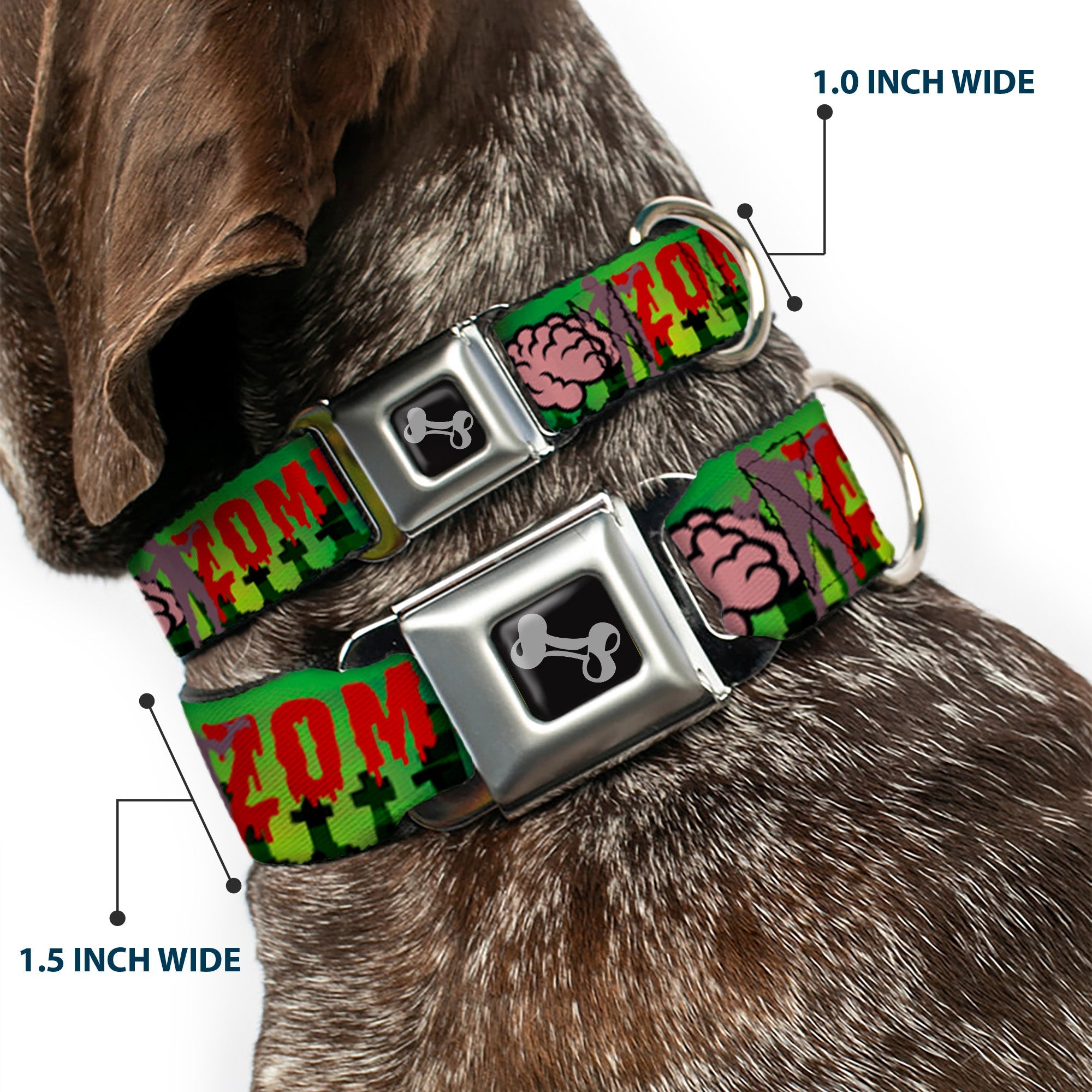 Dog Bone Seatbelt Buckle Collar - I "Brain" ZOMBIES