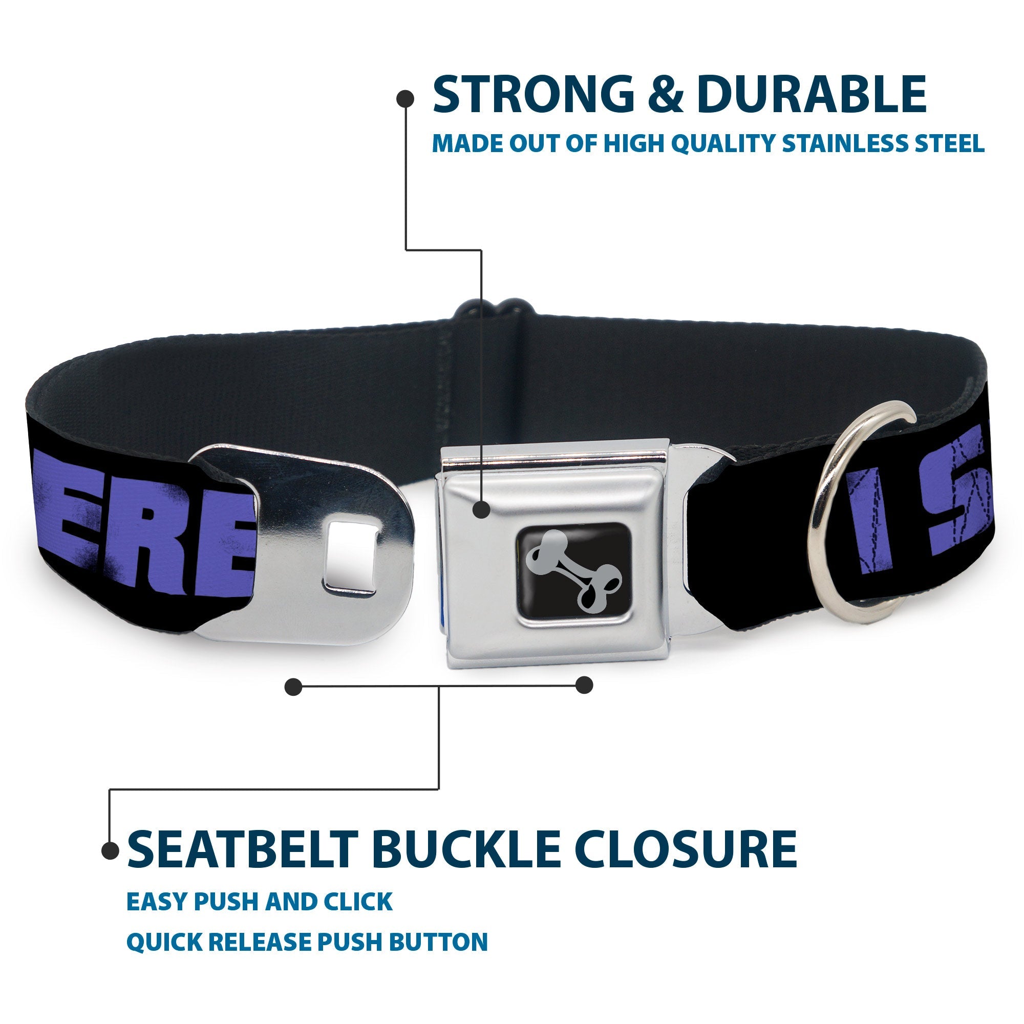 Dog Bone Seatbelt Buckle Collar - I SEE WHAT YOU DID THERE Weathered Black/Purple