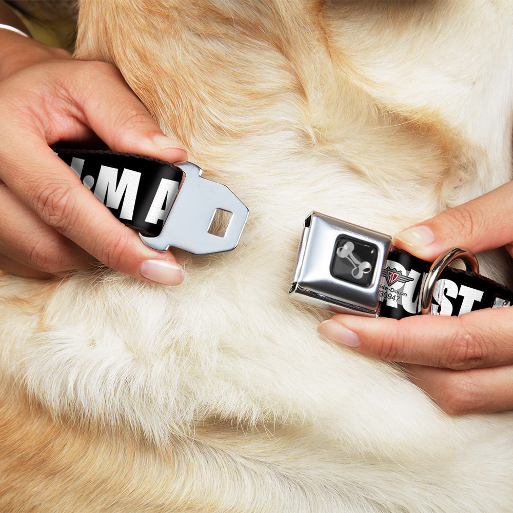 Dog Bone Seatbelt Buckle Collar - IM A GEEK/Glasses Black/White