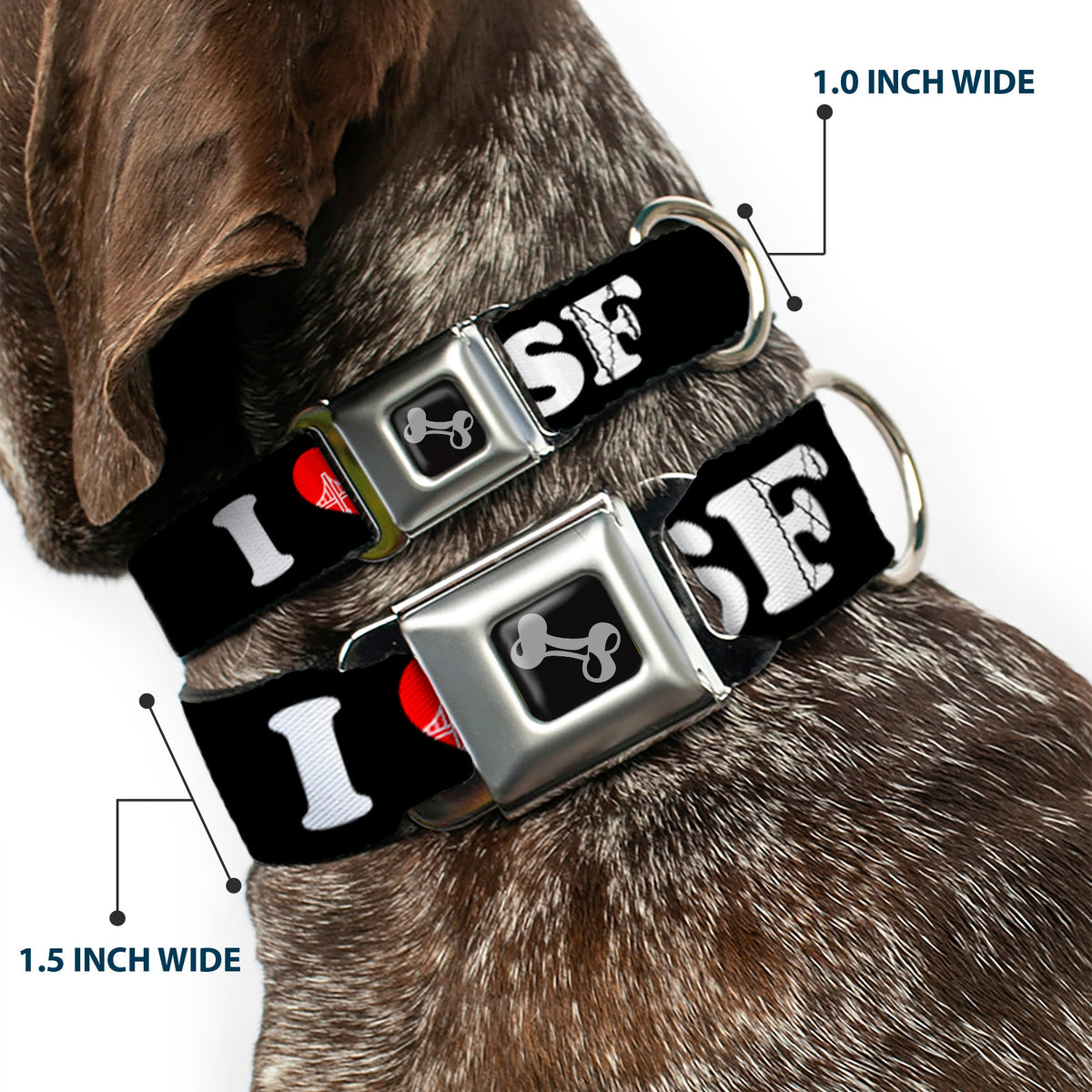 Dog Bone Seatbelt Buckle Collar - I "HEART BRIDGE" SF Black/White/Red