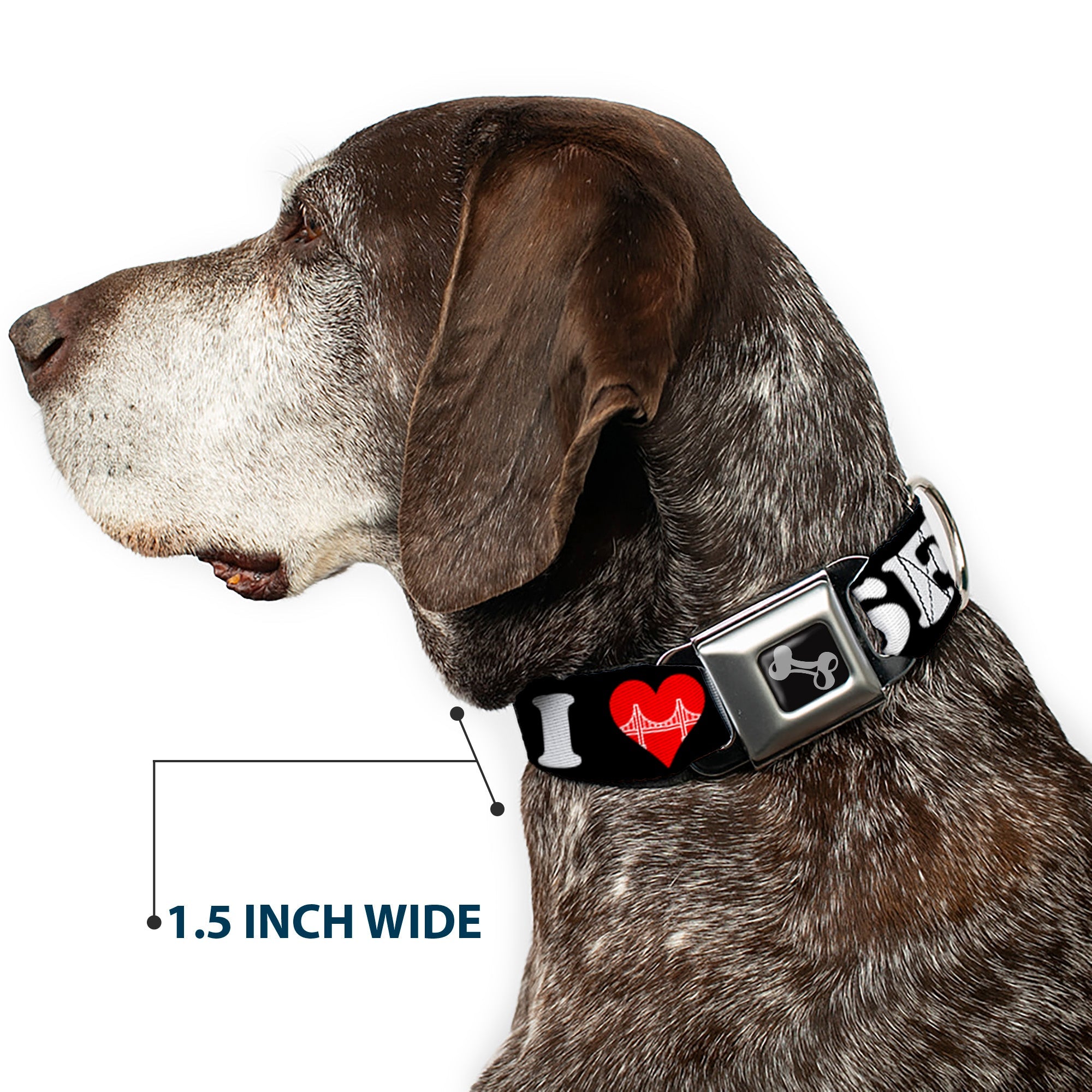 Dog Bone Seatbelt Buckle Collar - I "HEART BRIDGE" SF Black/White/Red