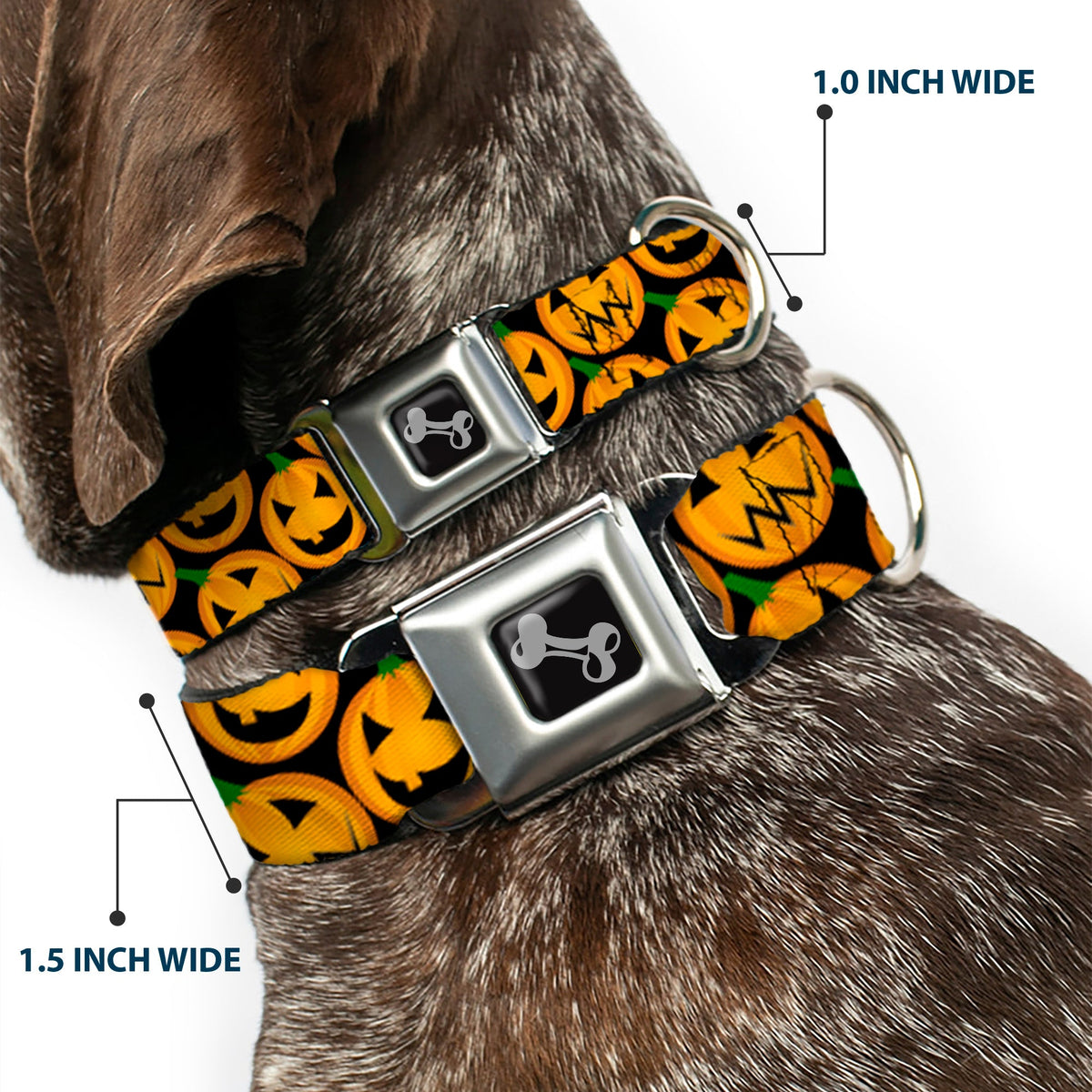 Dog Bone Seatbelt Buckle Collar - Jack-o-Lantern Collage Black