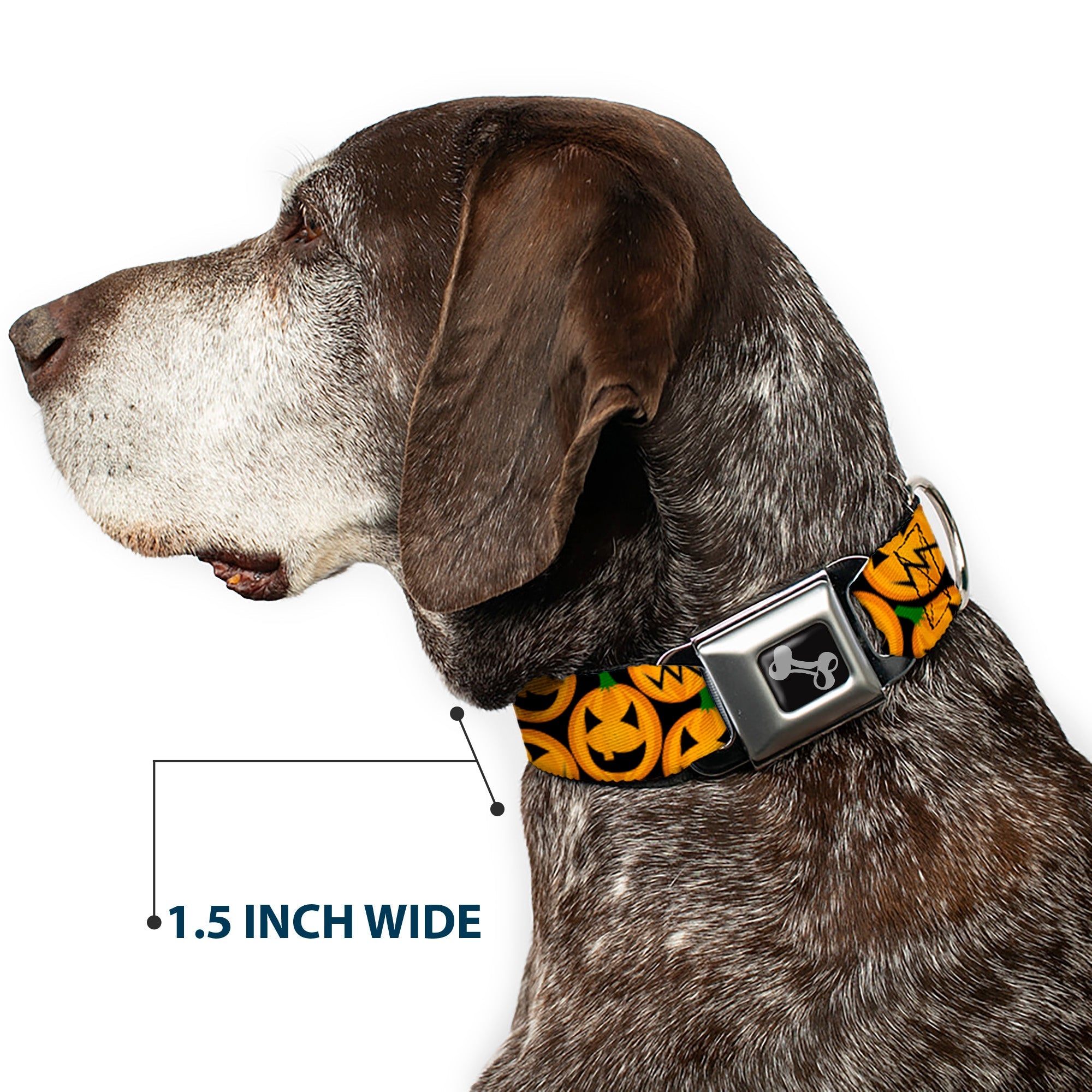 Dog Bone Seatbelt Buckle Collar - Jack-o'-Lantern Collage Black