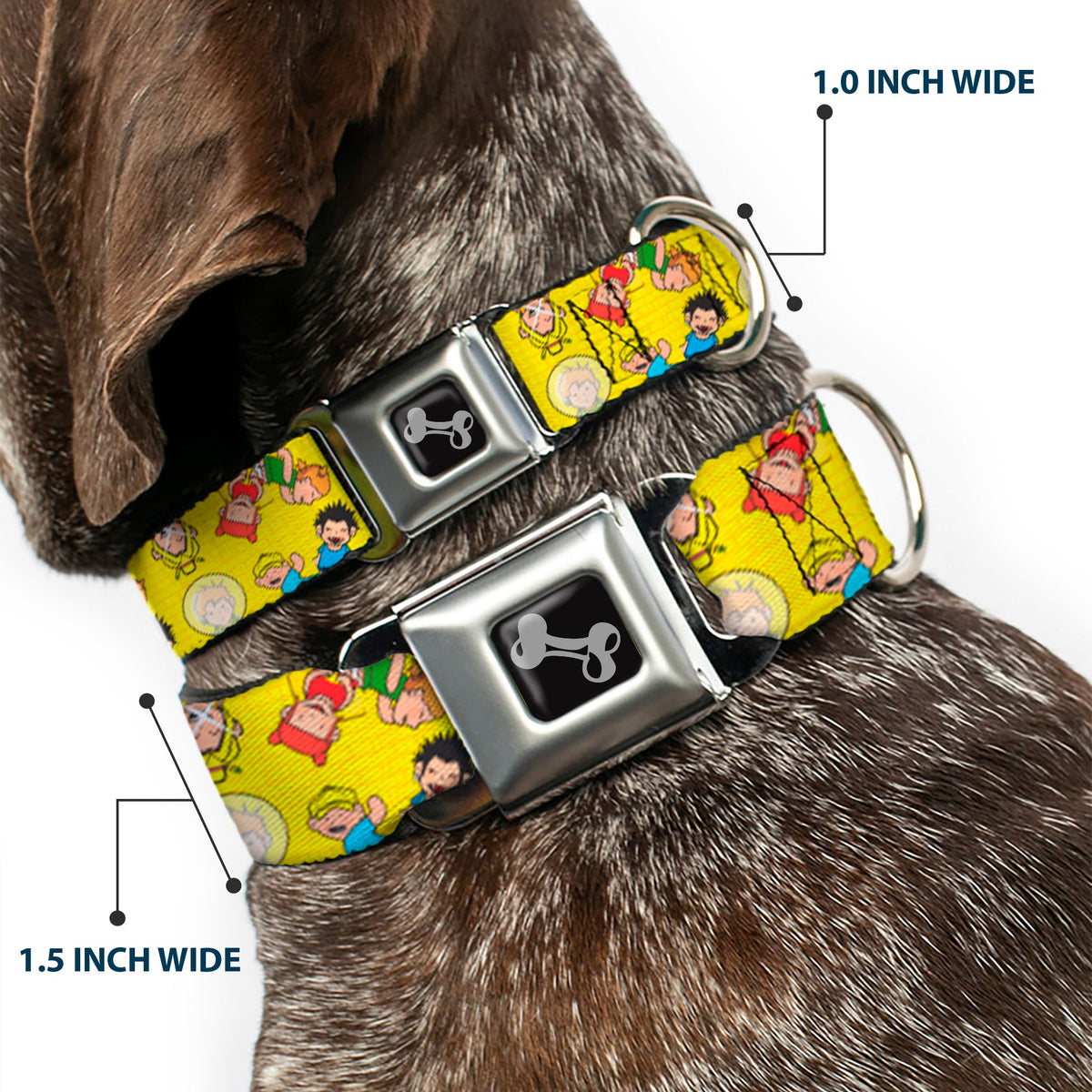 Dog Bone Seatbelt Buckle Collar - Kids in the Hood