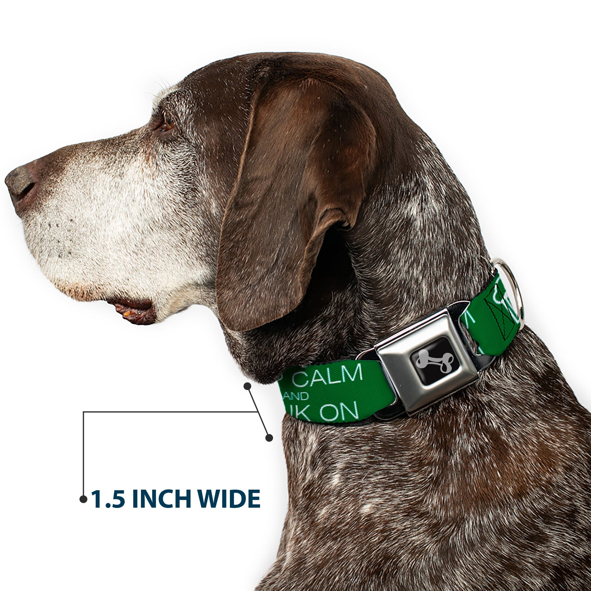 Buckle-Down Seatbelt Buckle Dog Collar - KEEP CALM AND DRINK ON/Beer Green/White