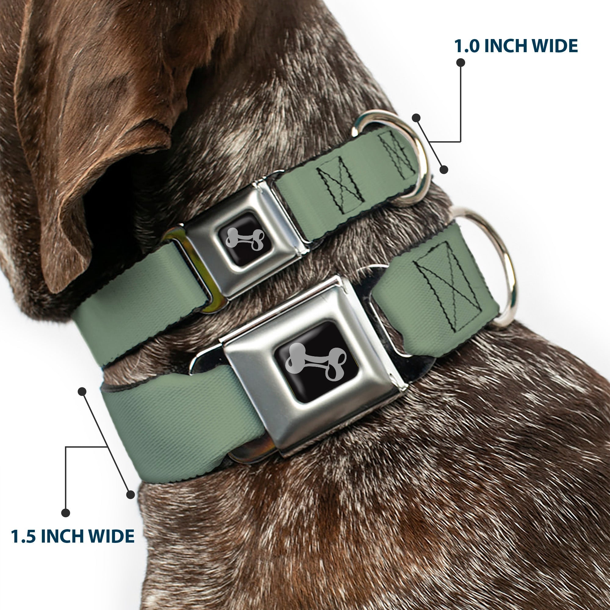 Dog Bone Seatbelt Buckle Collar - Khaki Green