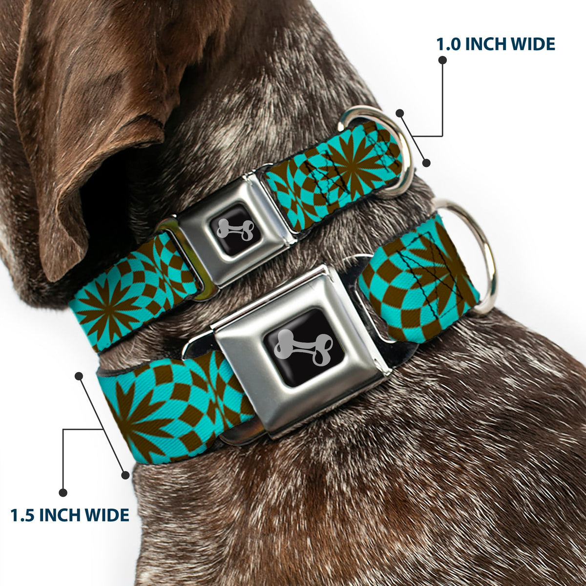 Dog Bone Seatbelt Buckle Collar - Kaleidoscope Balls Turquoise/Brown