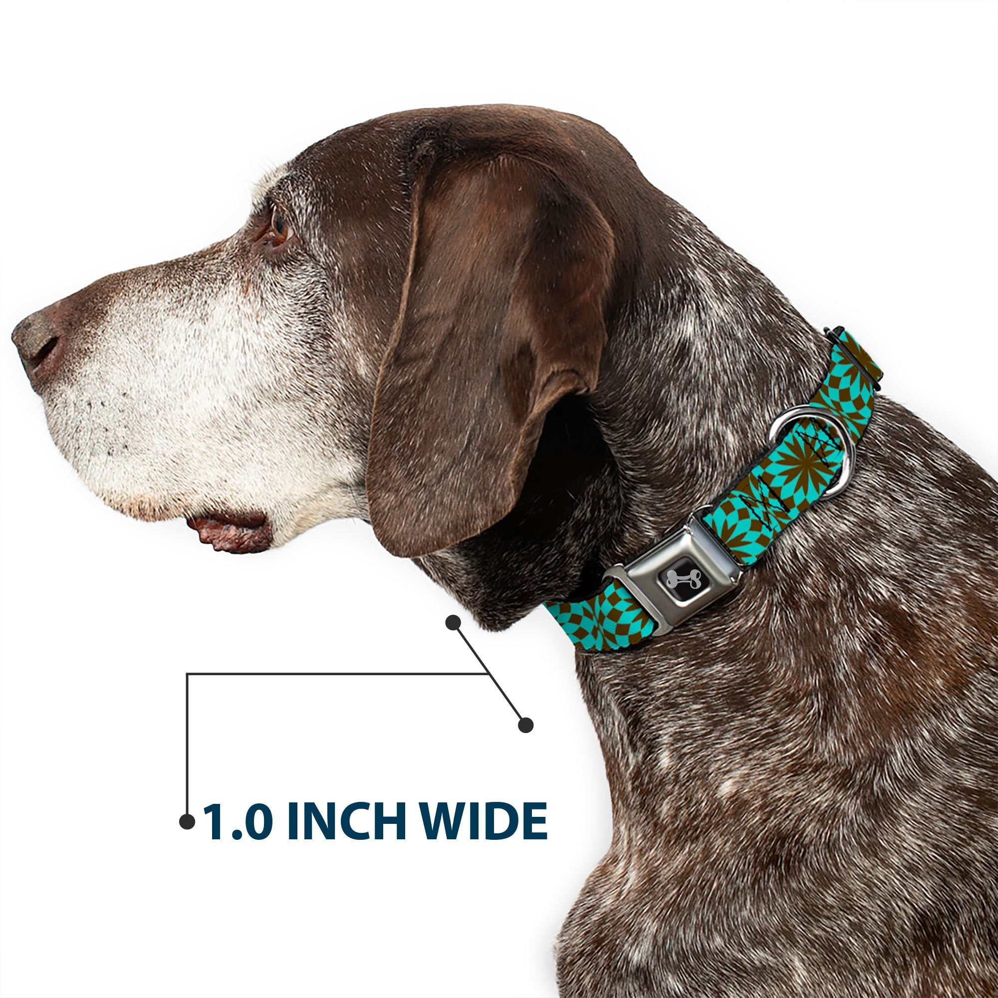Dog Bone Seatbelt Buckle Collar - Kaleidoscope Balls Turquoise/Brown