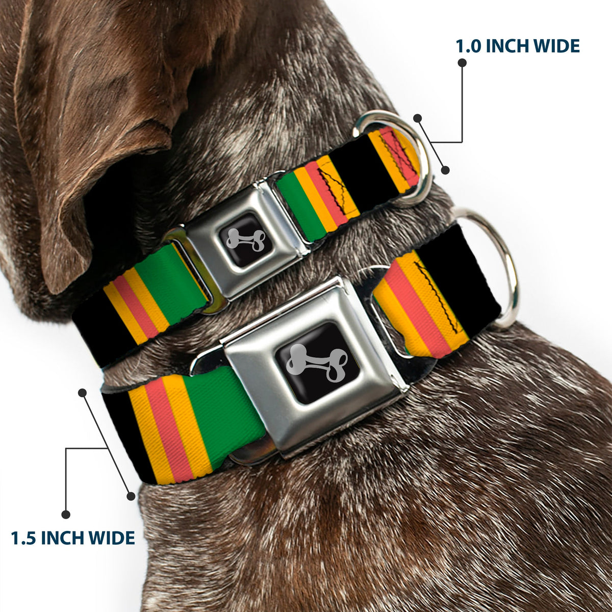Dog Bone Seatbelt Buckle Collar - Lines Black/Gold/Pink/Green