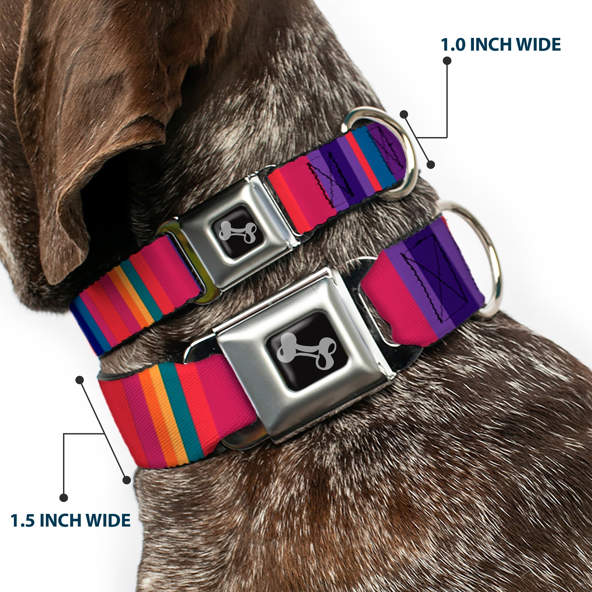 Dog Bone Seatbelt Buckle Collar - Lines Reds/Purples
