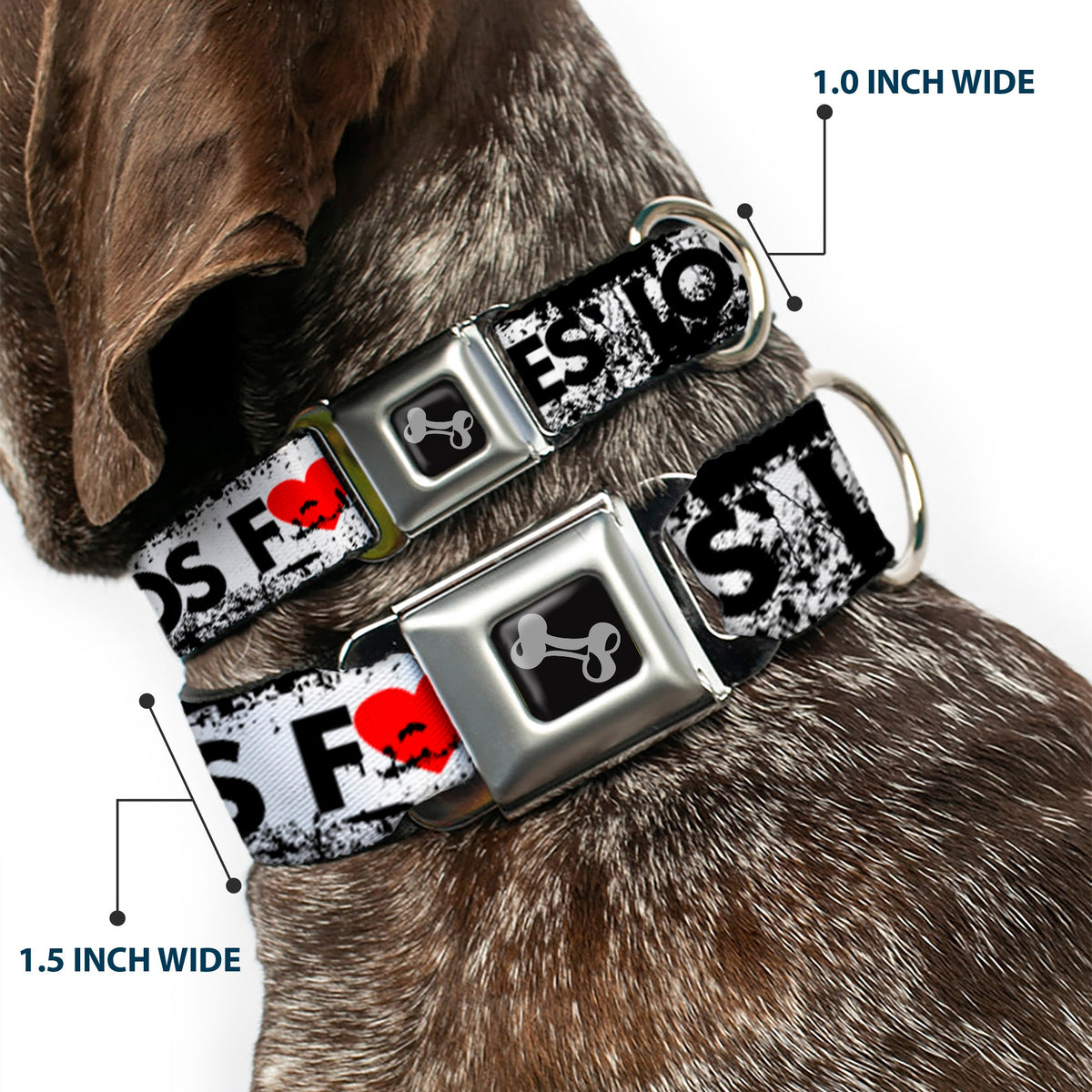 Buckle-Down Seatbelt Buckle Dog Collar - LOS F*CKIN ANGELES Heart Weathered White/Black/Red