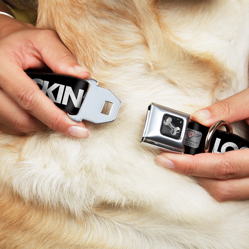 Dog Bone Seatbelt Buckle Collar - LOS F*CKIN ANGELES Mustache Black/White/Pink
