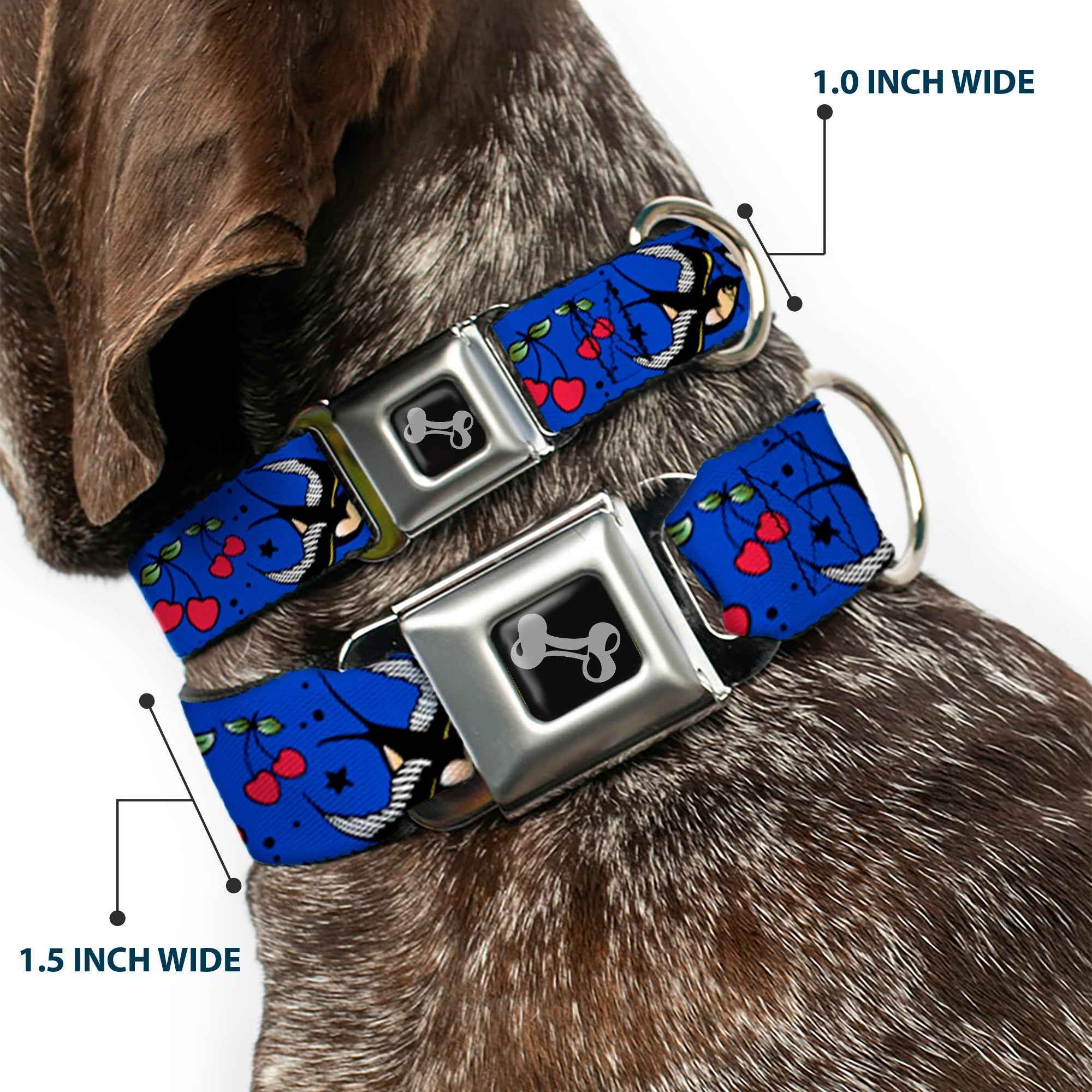Buckle-Down Lucky Close-Up Blue Seatbelt Buckle Dog Collar