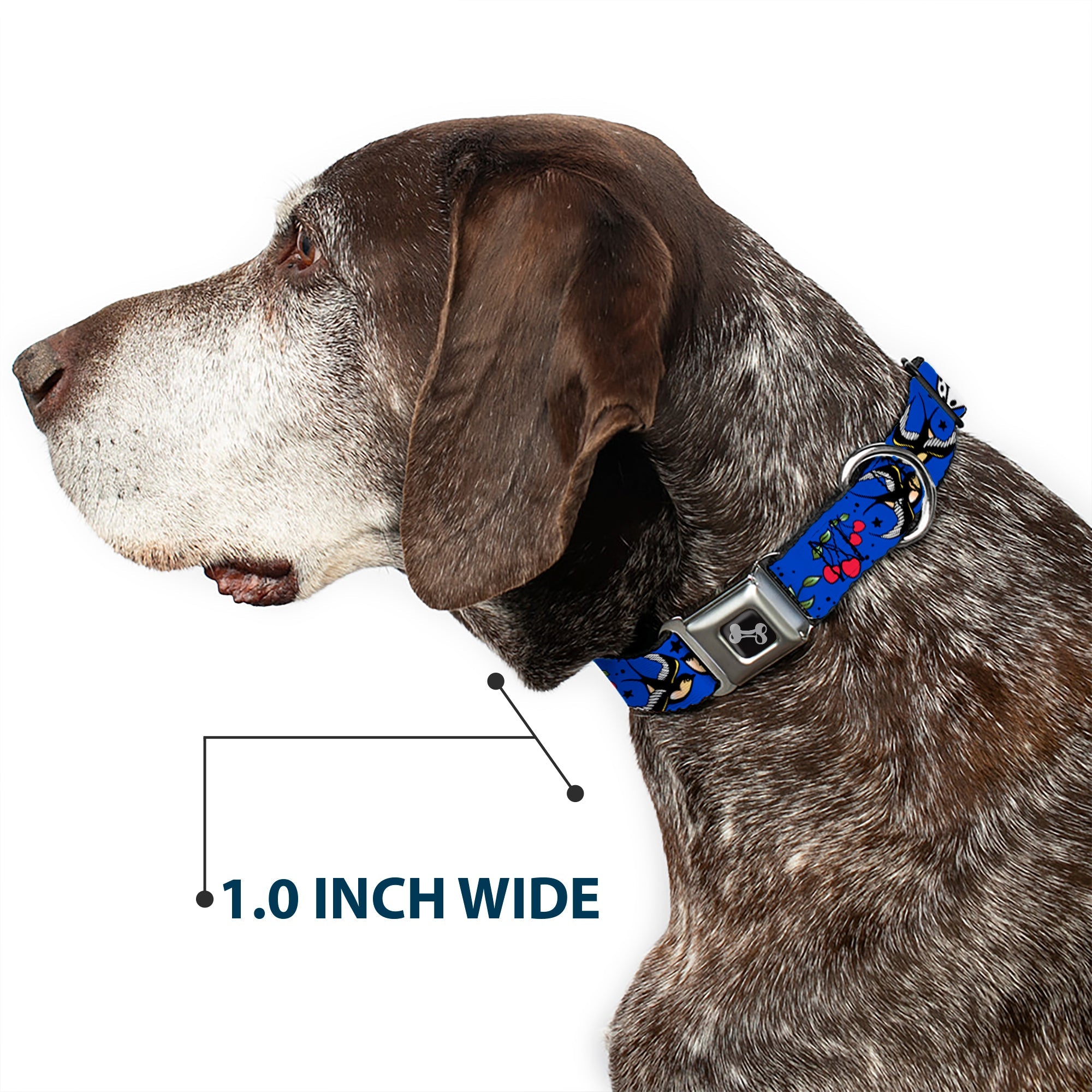 Buckle-Down Lucky Close-Up Blue Seatbelt Buckle Dog Collar