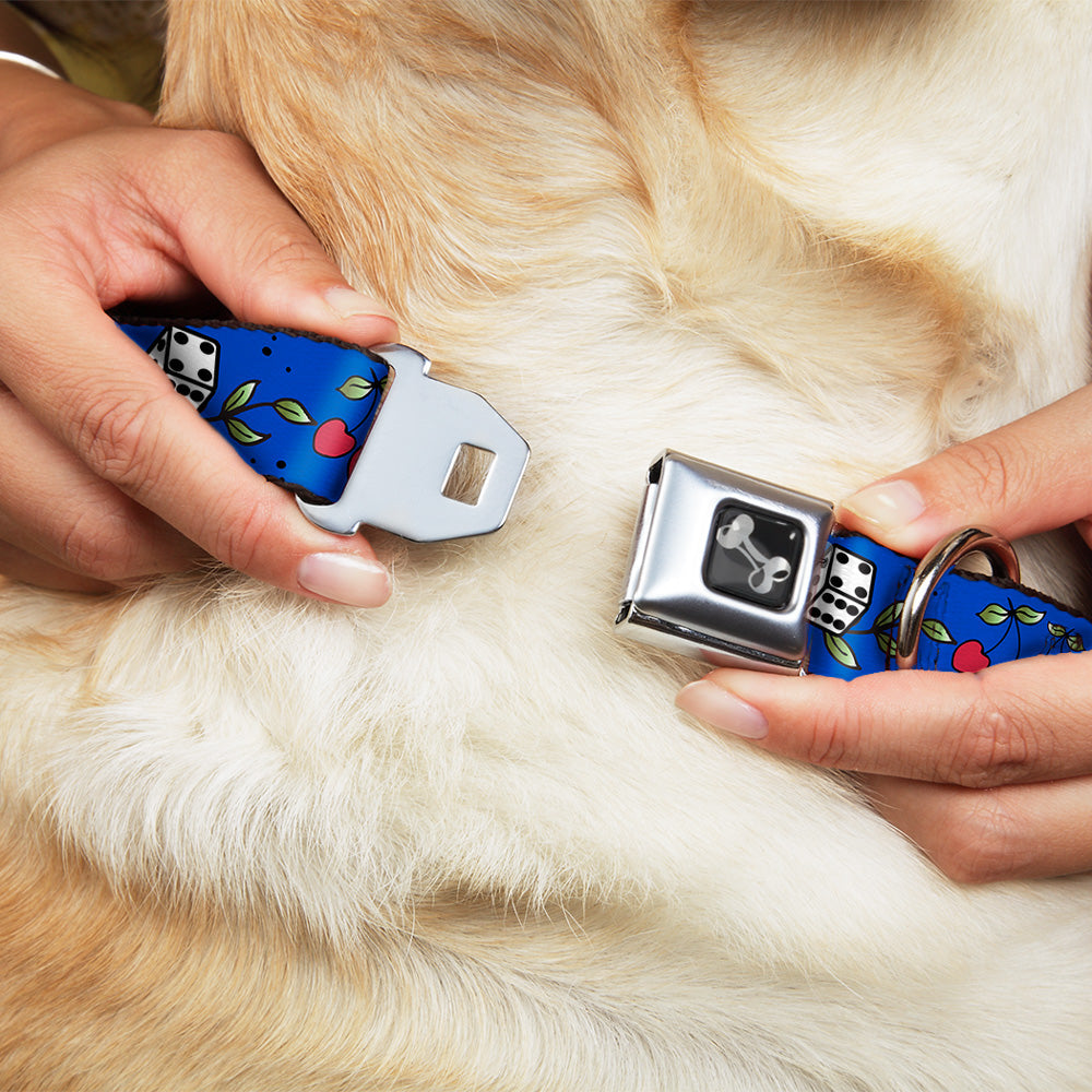 Buckle-Down Lucky Close-Up Blue Seatbelt Buckle Dog Collar