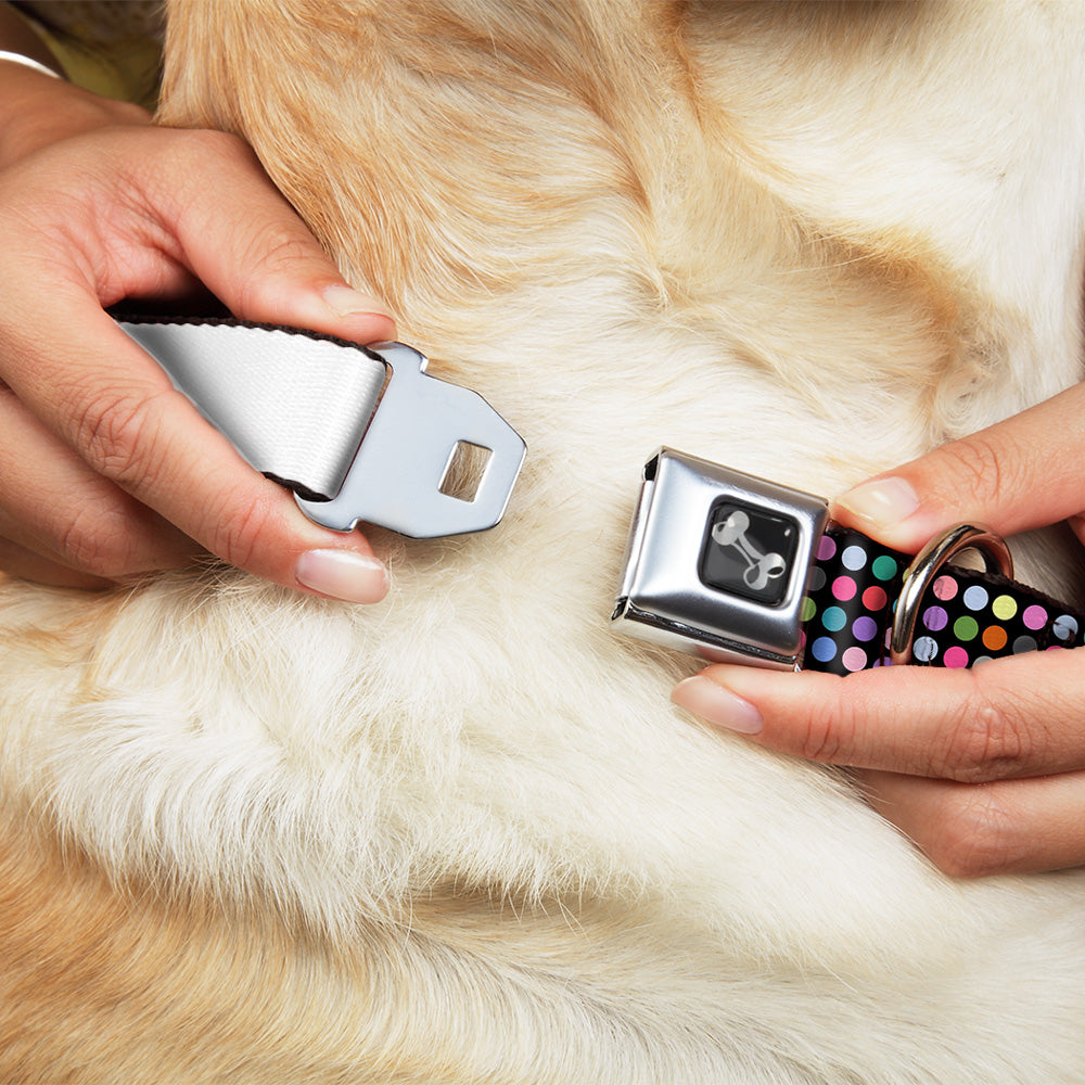 Dog Bone Seatbelt Buckle Collar - Mini Polka Dots Black/Multi Color