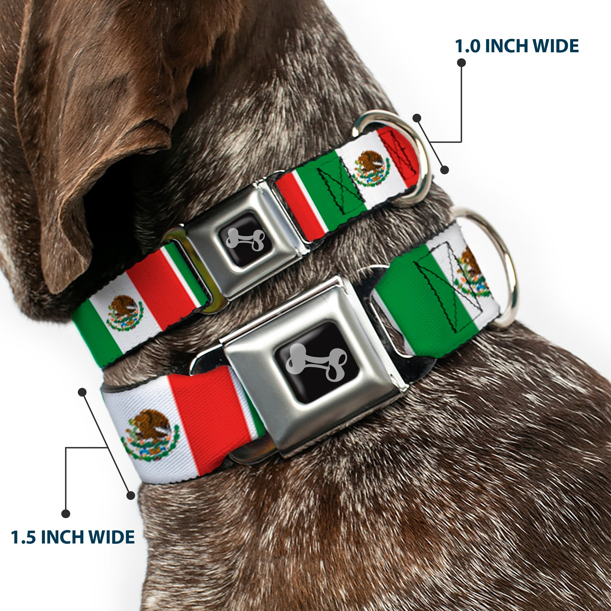 Dog Bone Seatbelt Buckle Collar - Mexico Flags