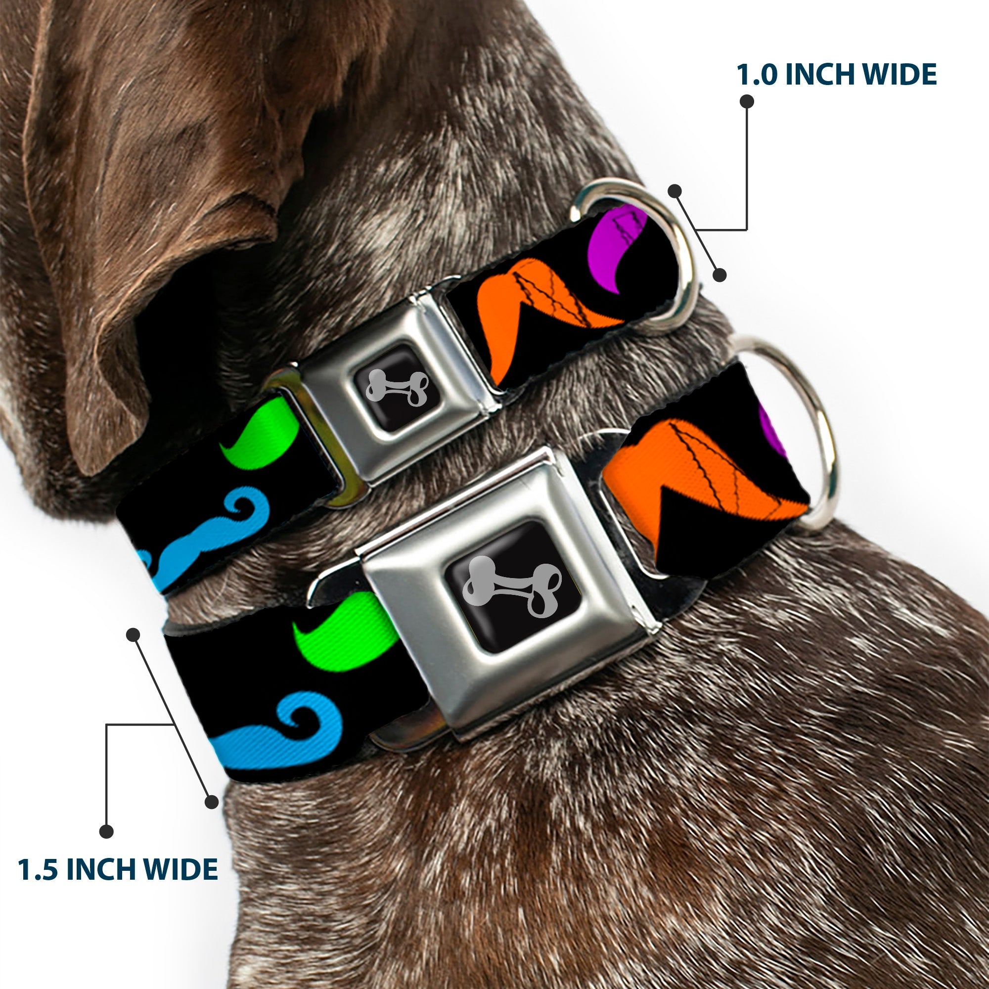 Dog Bone Seatbelt Buckle Collar - Mustaches Black/Multi Color