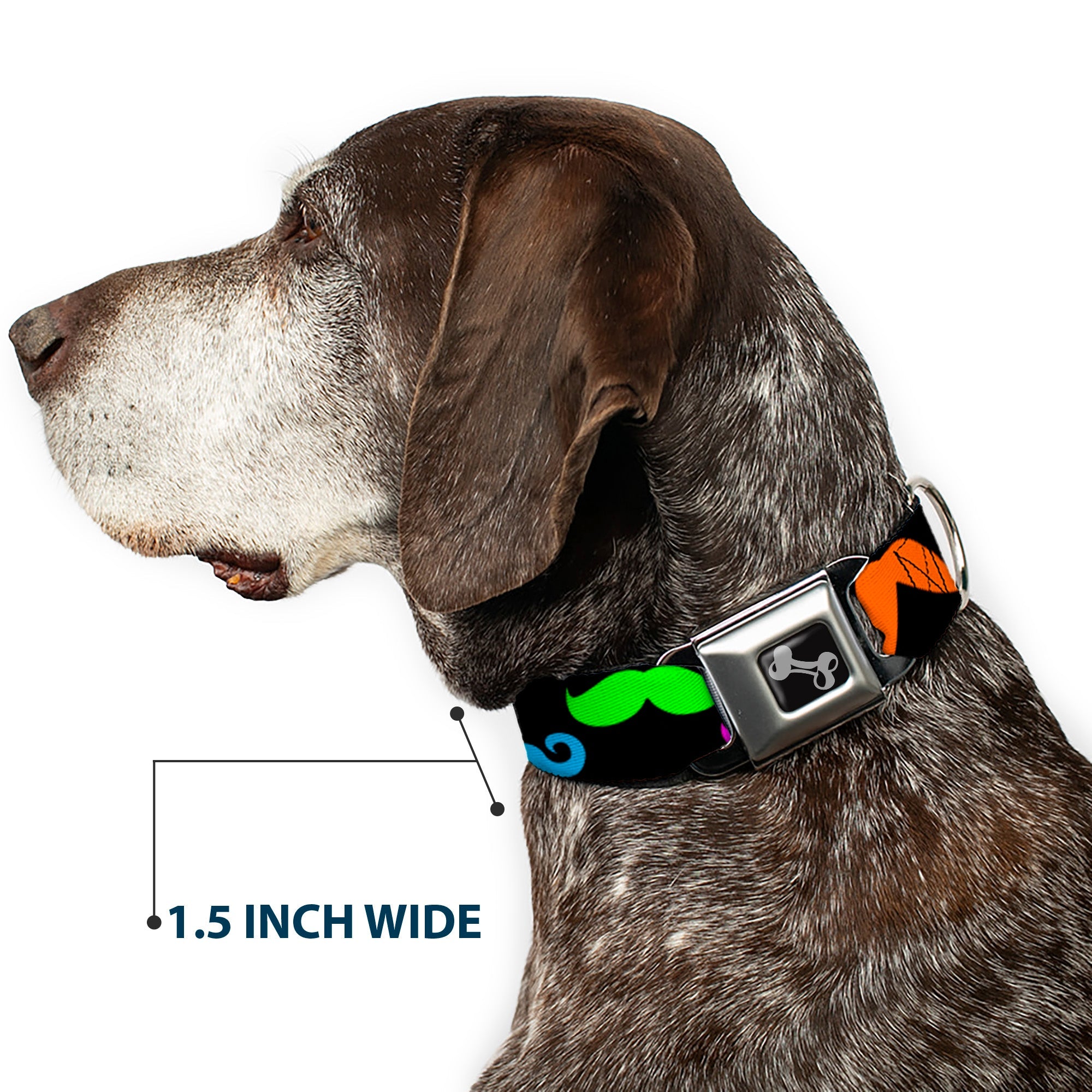 Dog Bone Seatbelt Buckle Collar - Mustaches Black/Multi Color