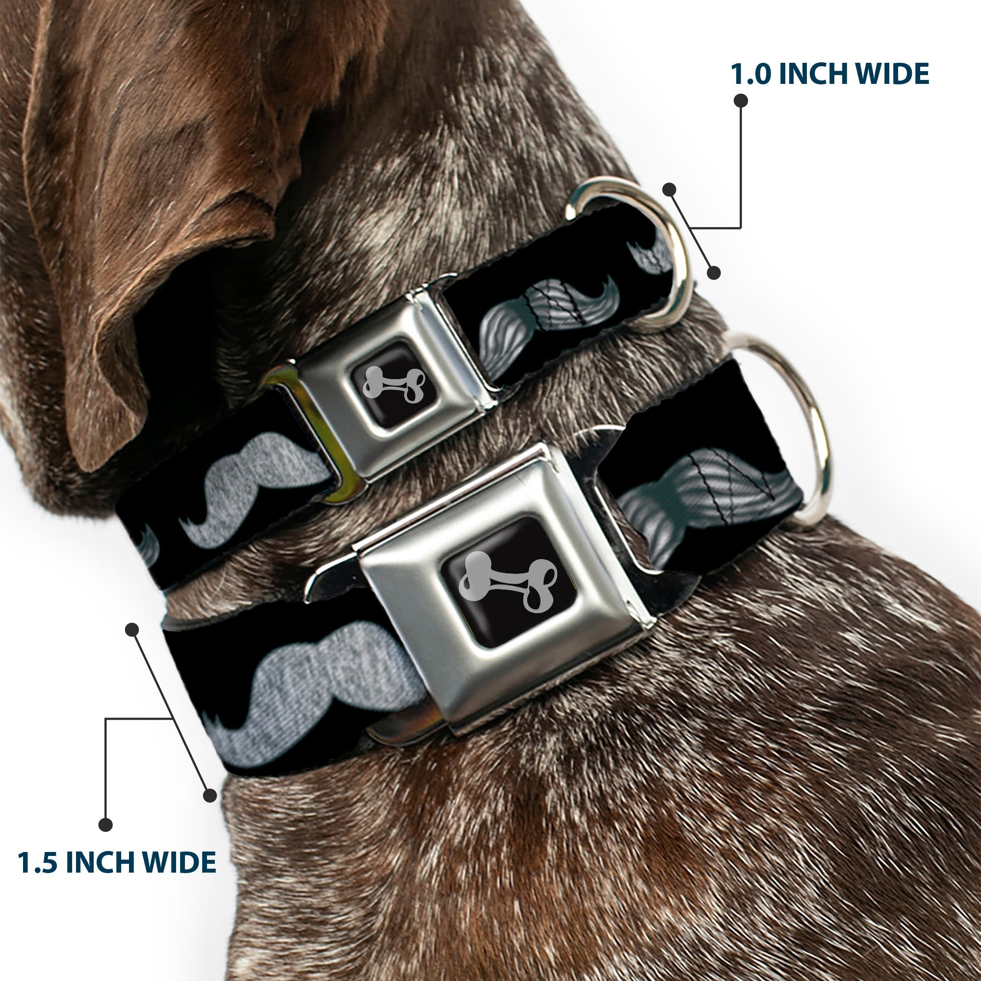 Dog Bone Seatbelt Buckle Collar - Mustache Sketch Black/White