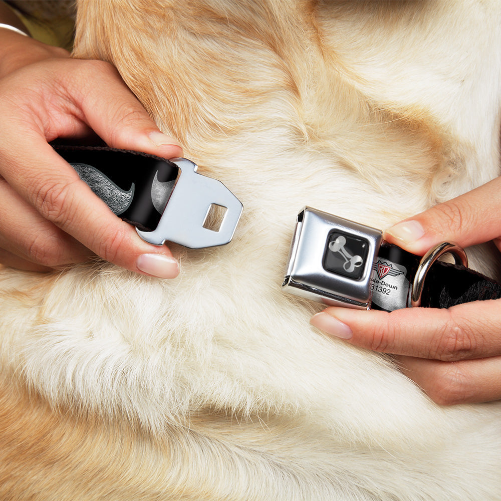 Dog Bone Seatbelt Buckle Collar - Mustache Sketch Black/White