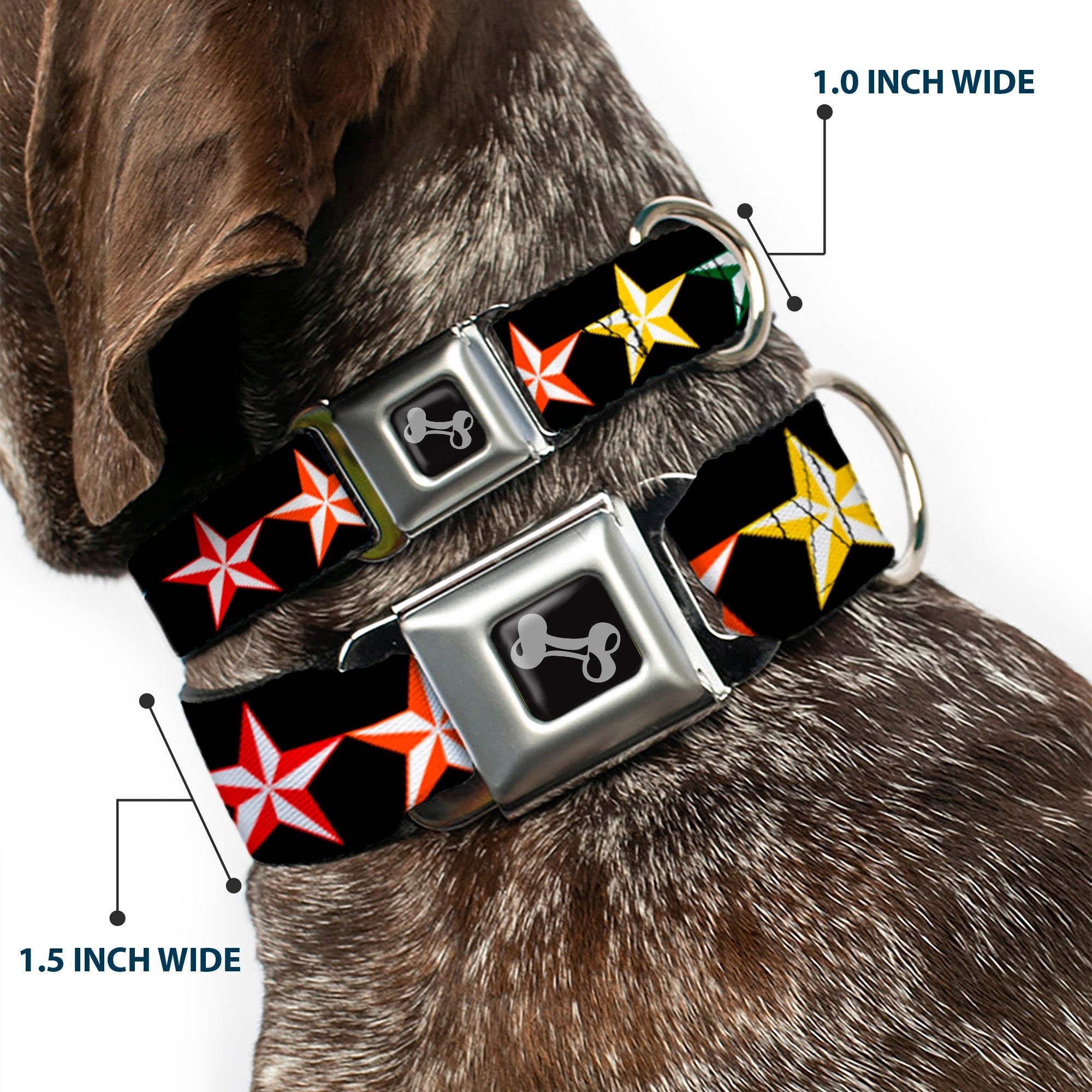 Dog Bone Seatbelt Buckle Collar - Nautical Star Black/Multi Color