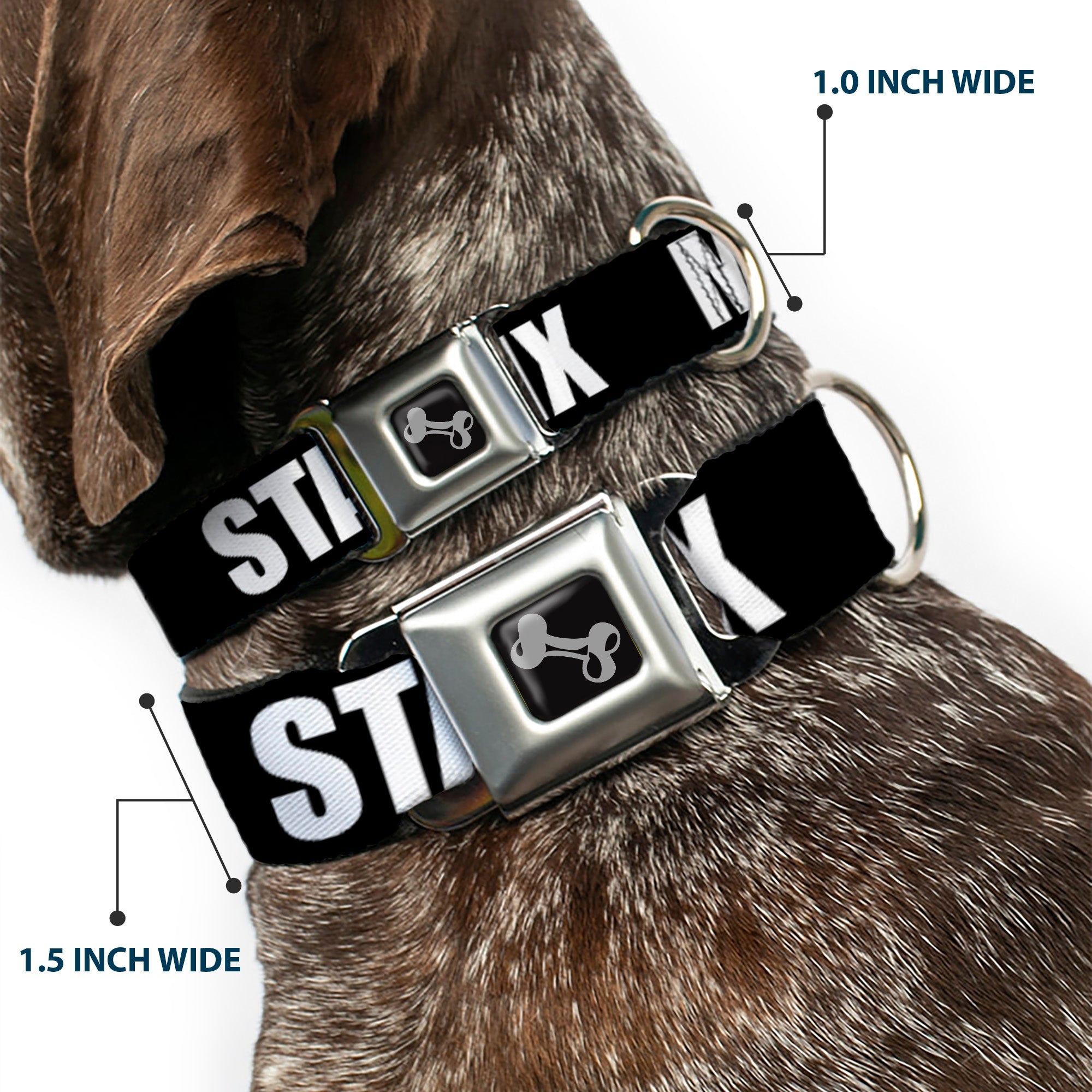 Dog Bone Seatbelt Buckle Collar - New York's Five Burroughs Bold Black/White
