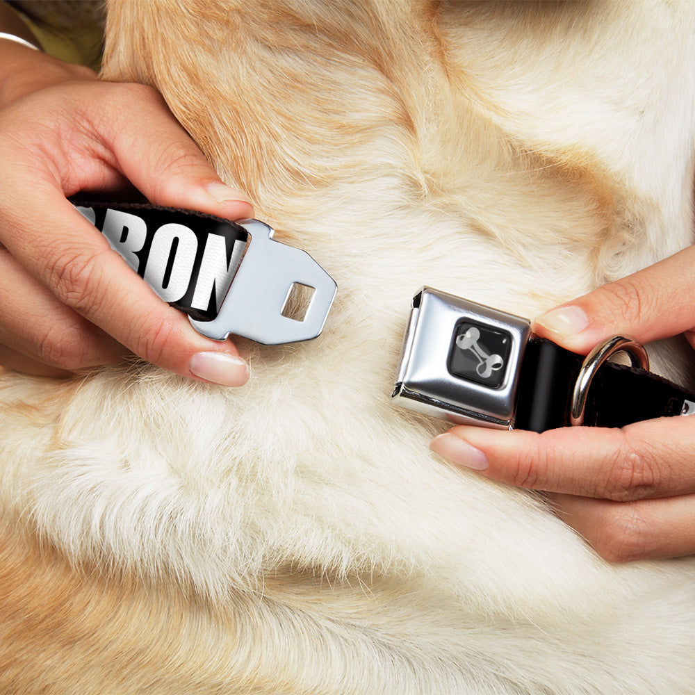 Dog Bone Seatbelt Buckle Collar - New York's Five Burroughs Bold Black/White